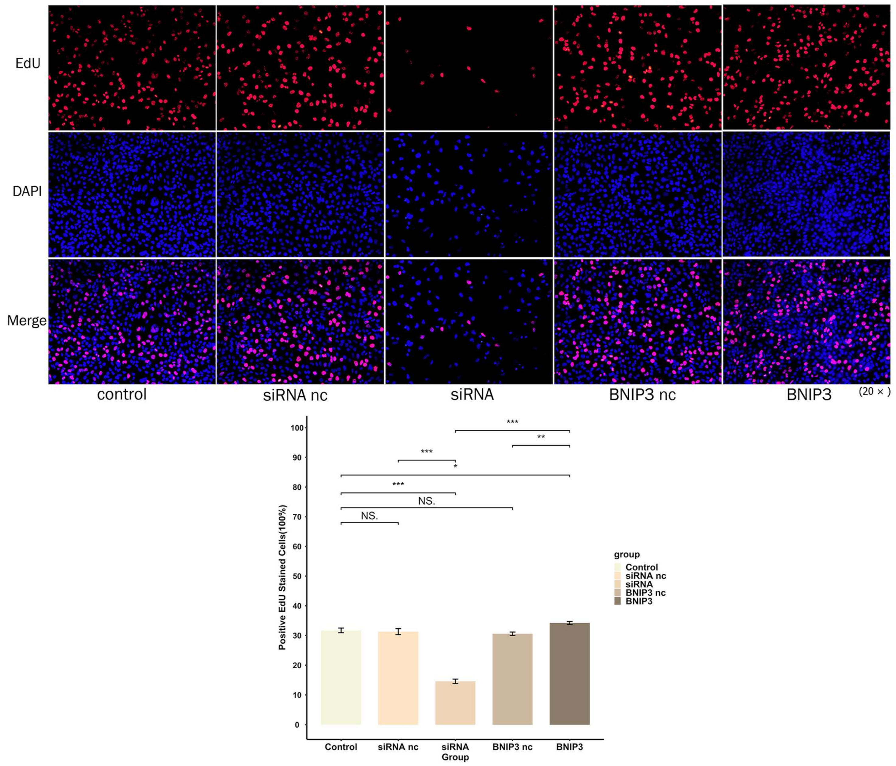 Cancers 15 02405 g017