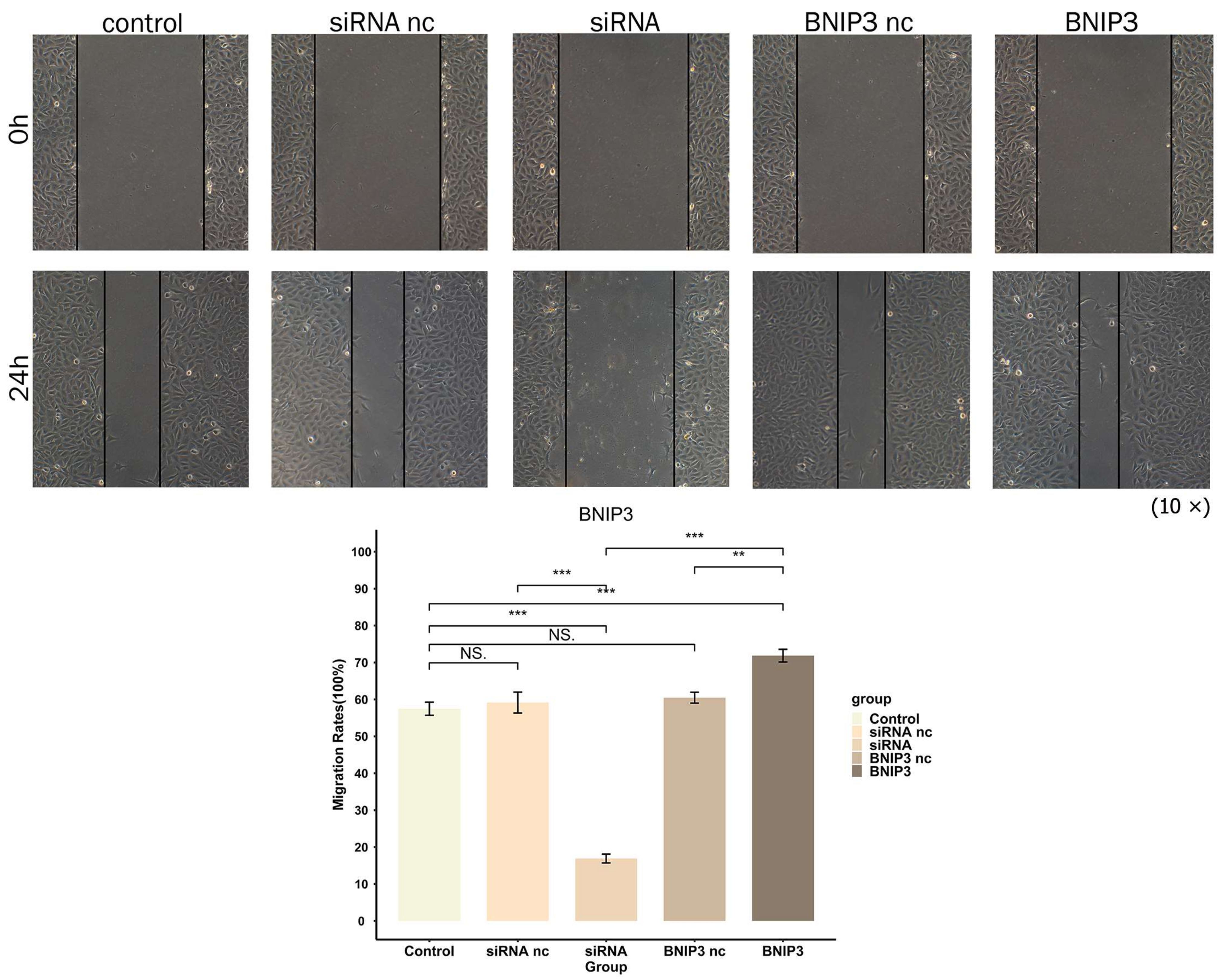 Cancers 15 02405 g018