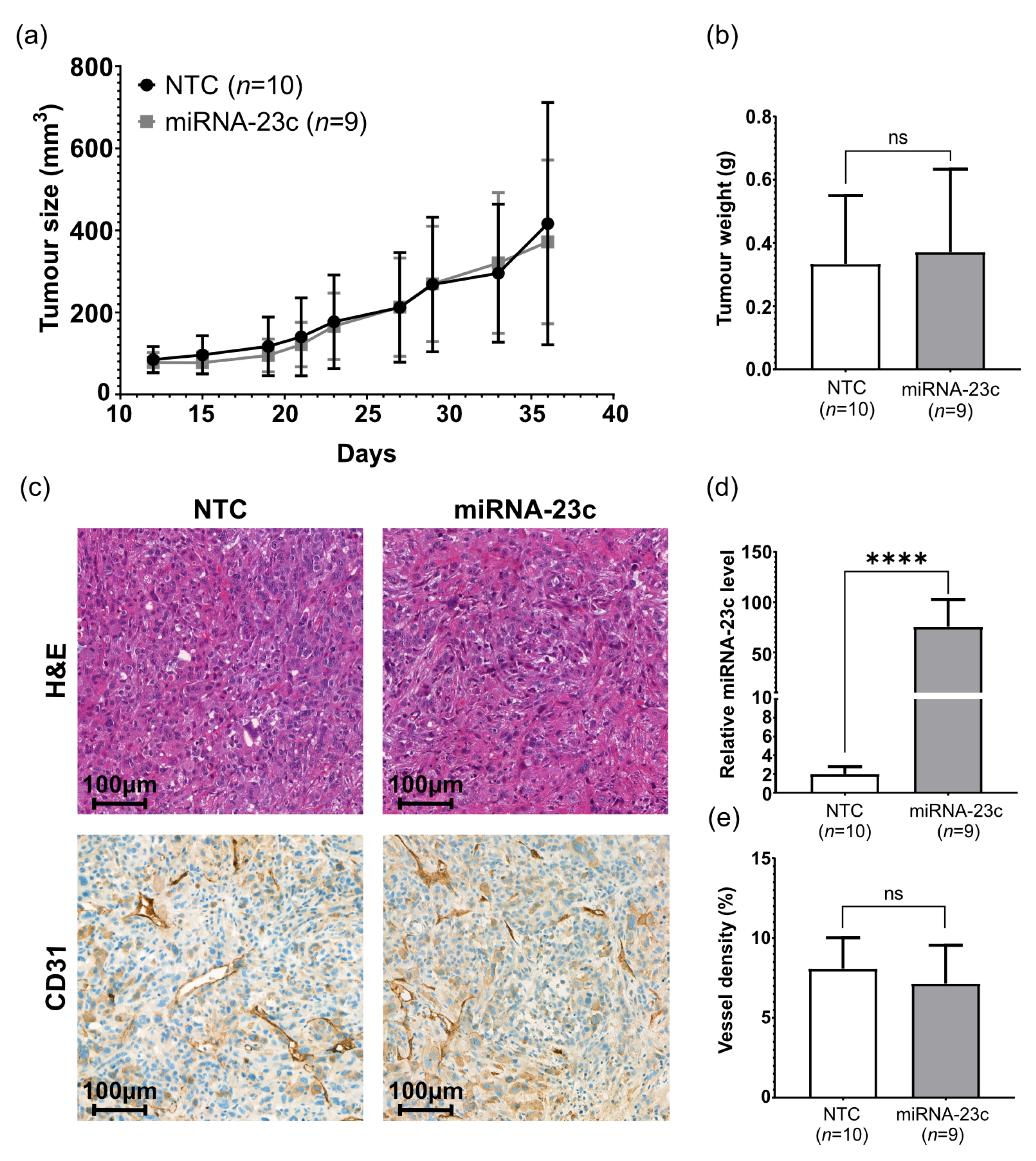 Cancers 15 02437 g004