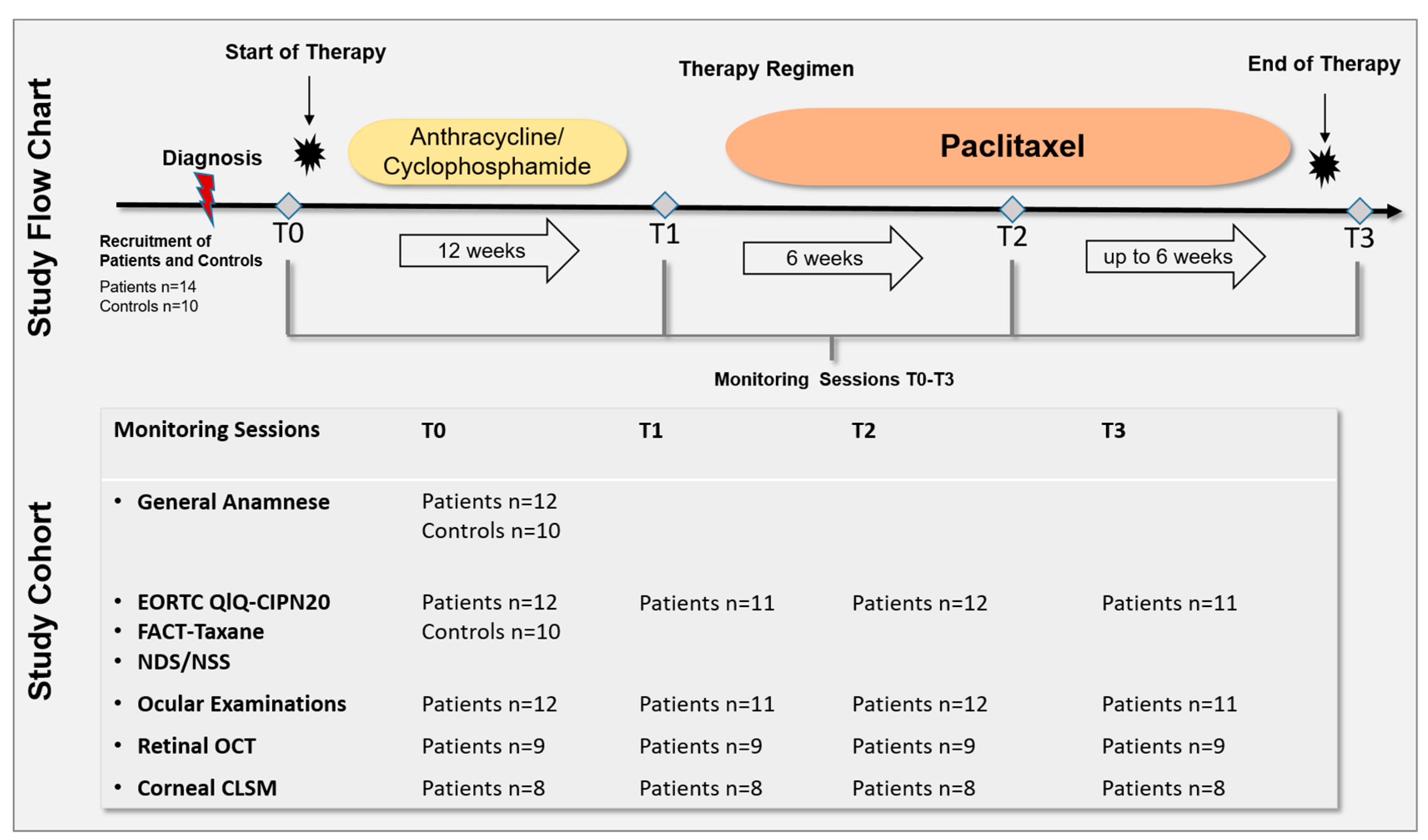 Cancers 15 02444 g001