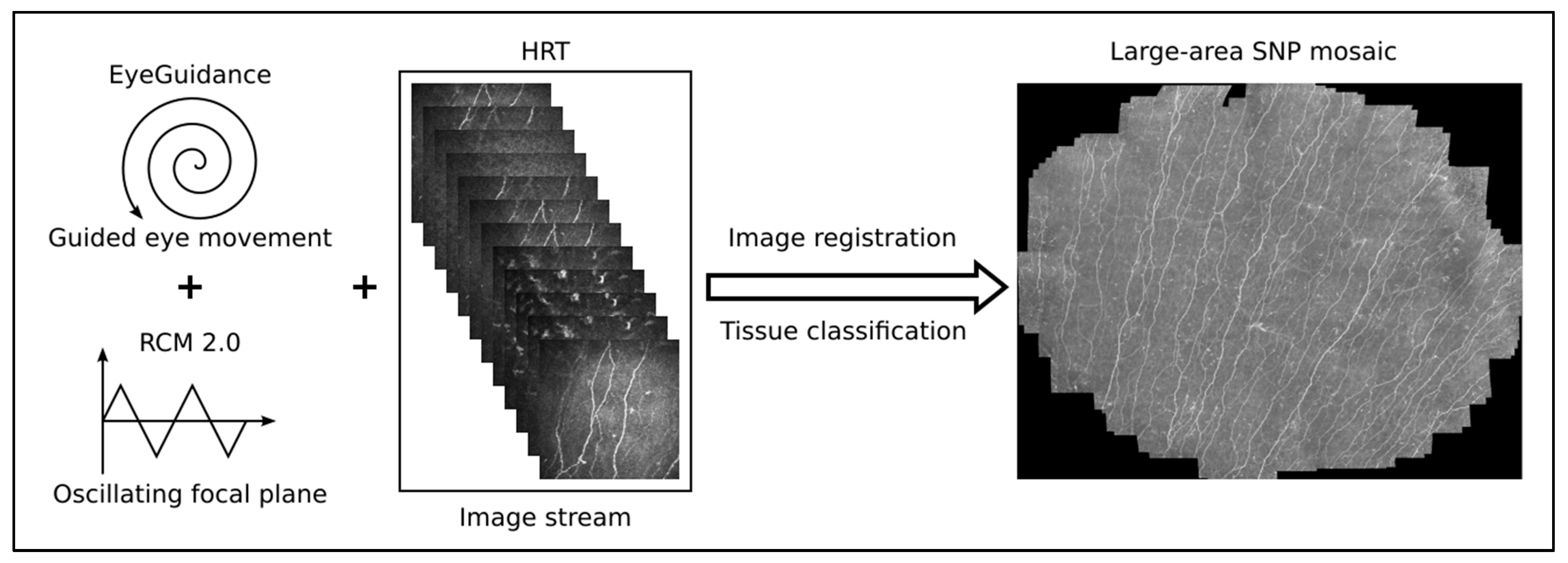 Cancers 15 02444 g003