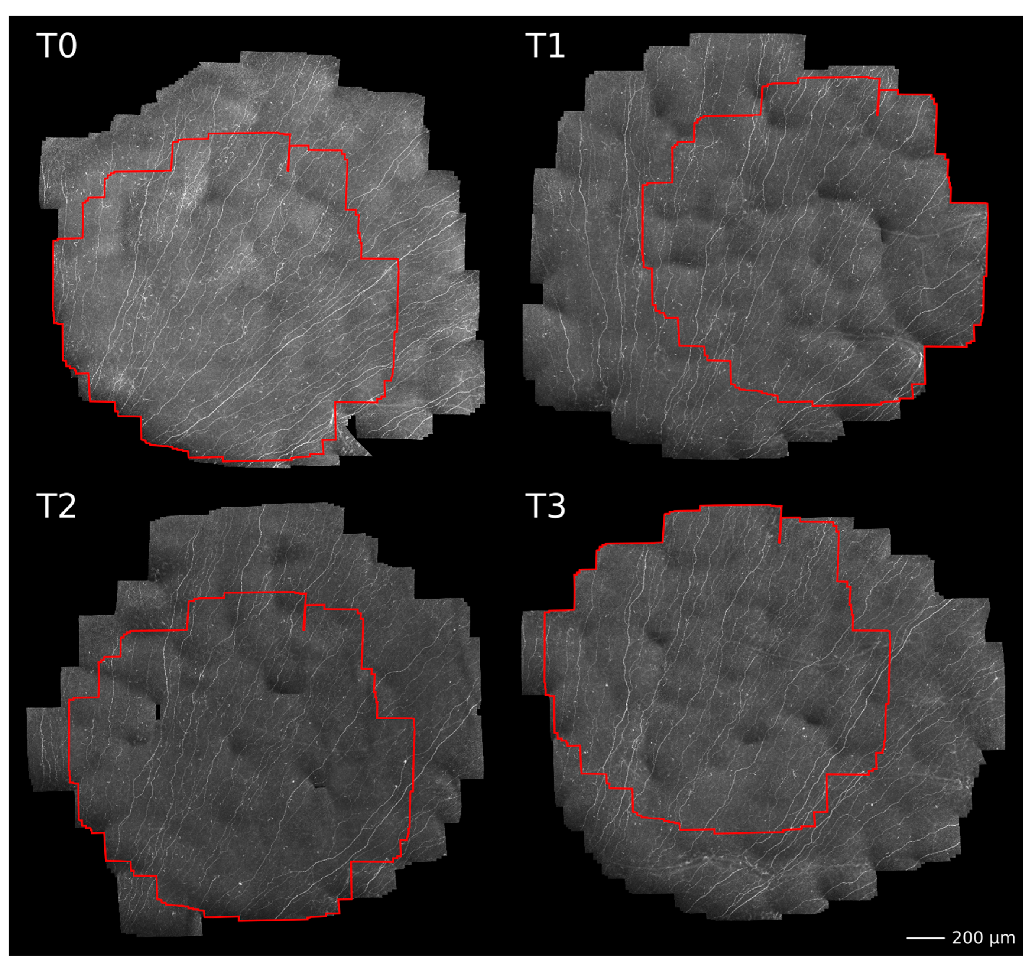 Cancers 15 02444 g007