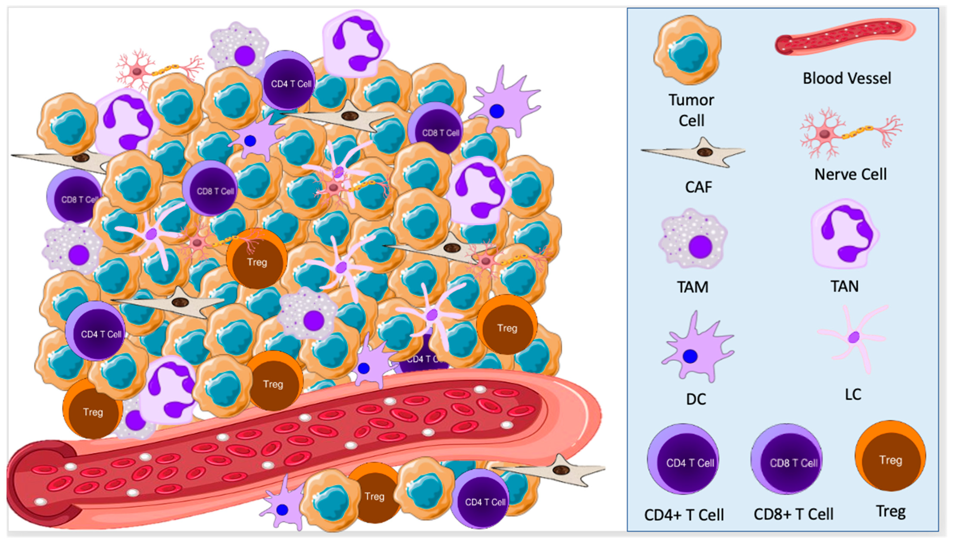 Cancers 15 02453 g001
