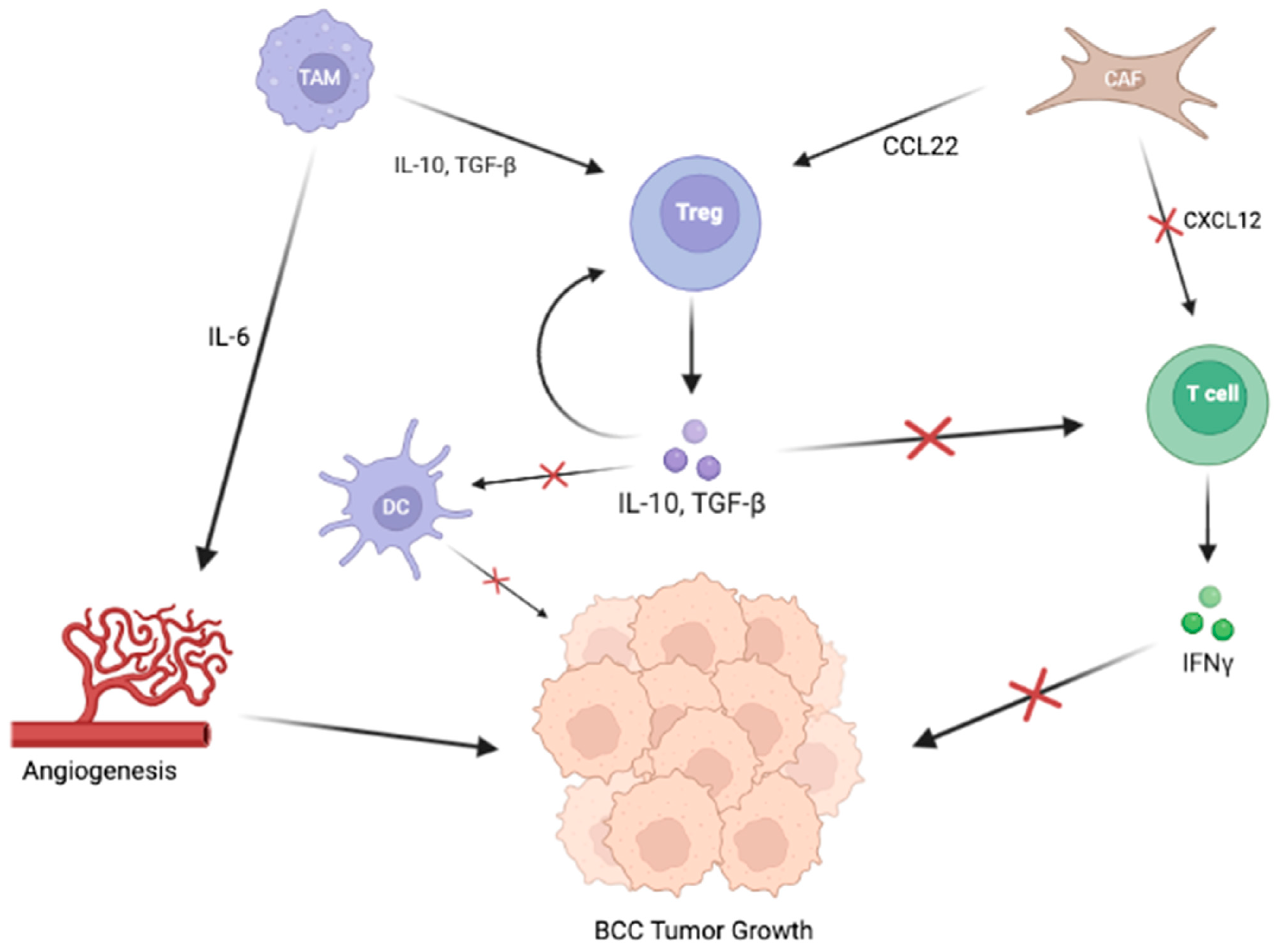 Cancers 15 02453 g002