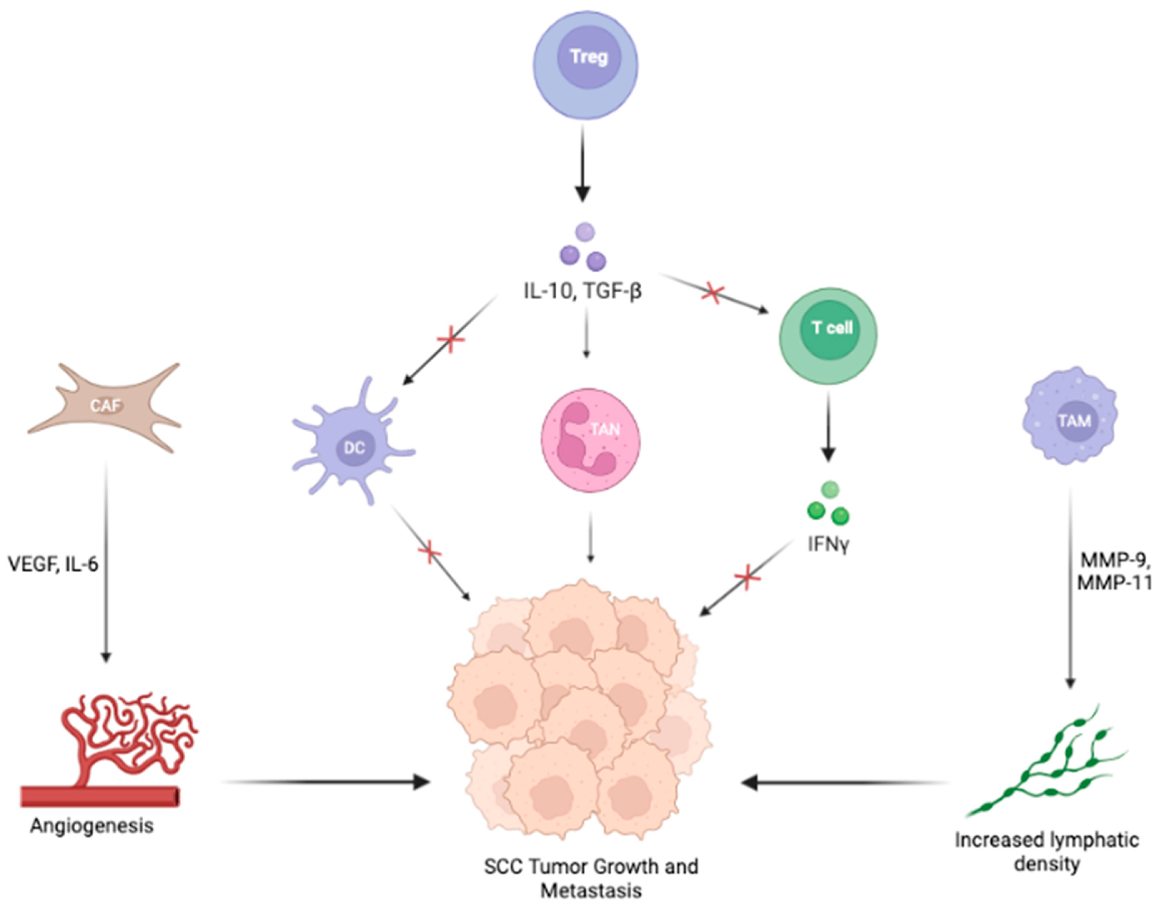 Cancers 15 02453 g003