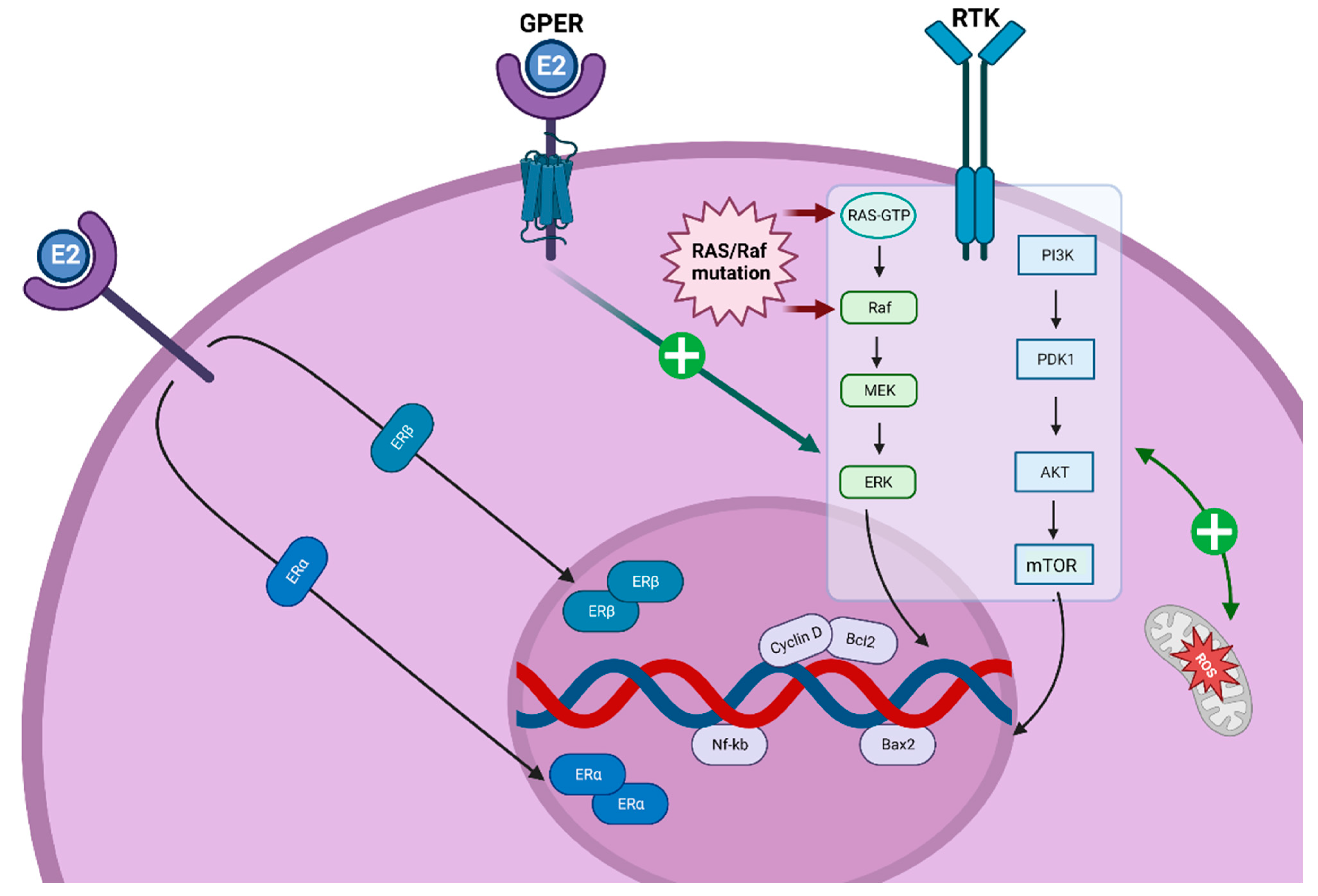 Cancers 15 02458 g002