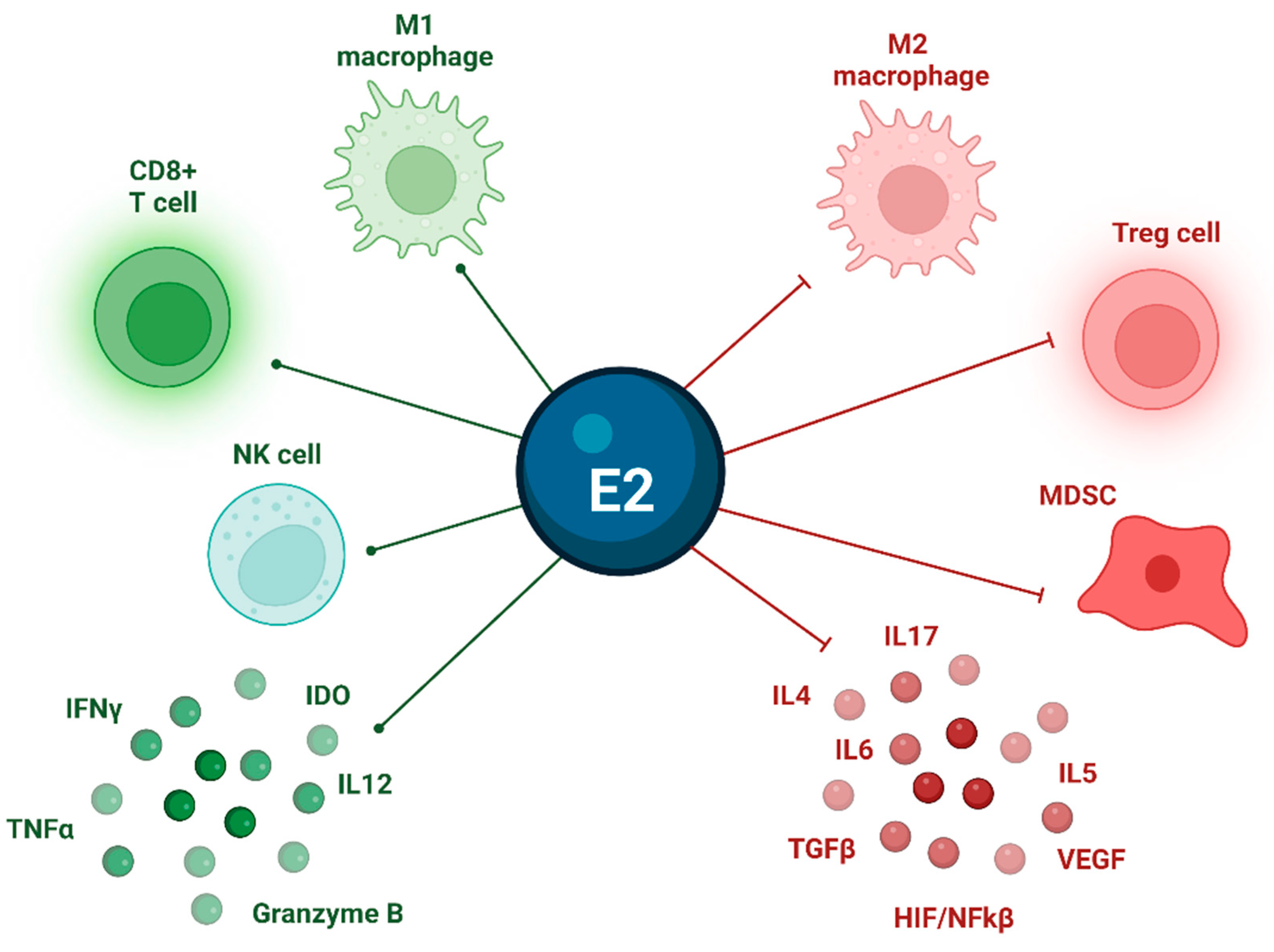 Cancers 15 02458 g003