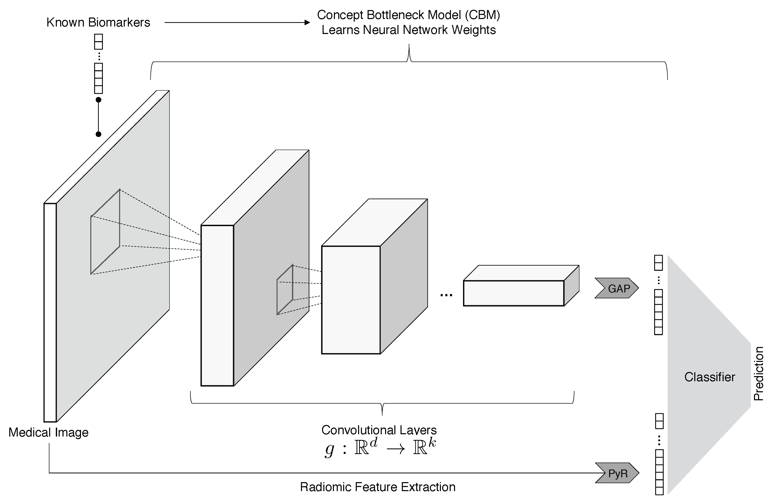 Cancers 15 02459 g001 Cancers 15 02459 g001