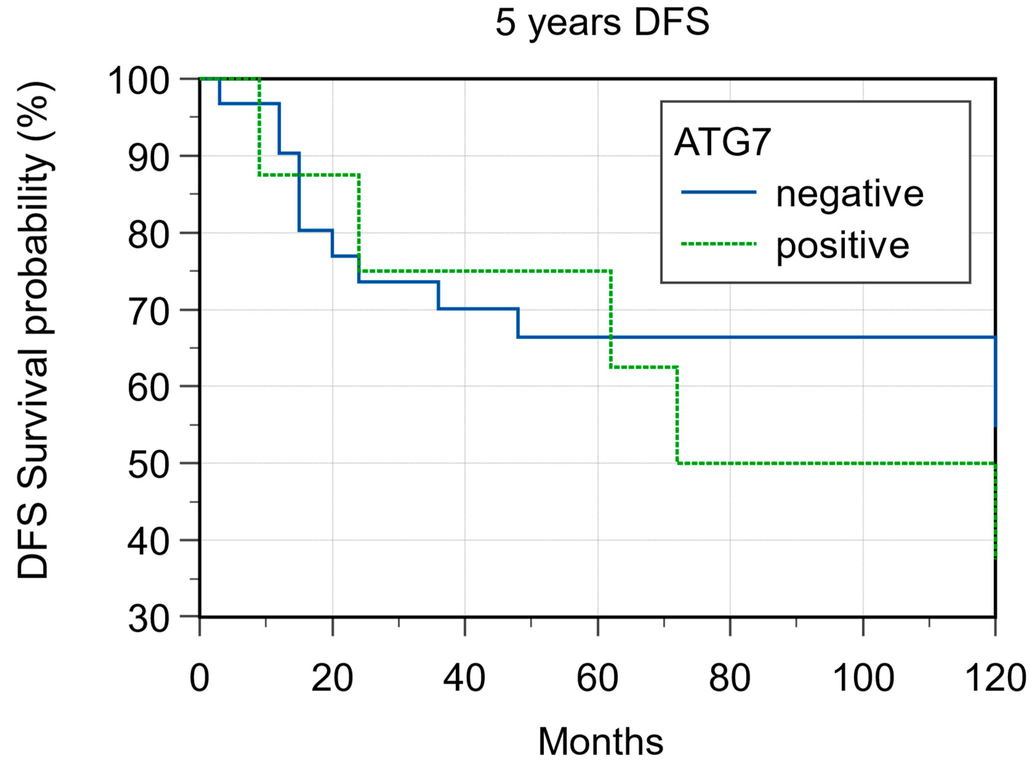 Cancers 15 02461 g008