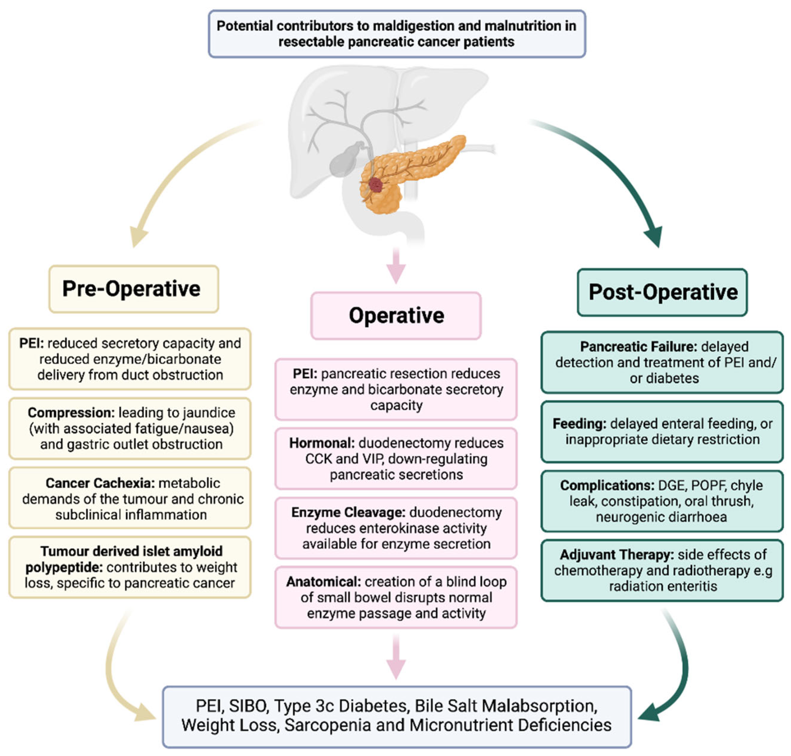 Cancers 15 02466 g001