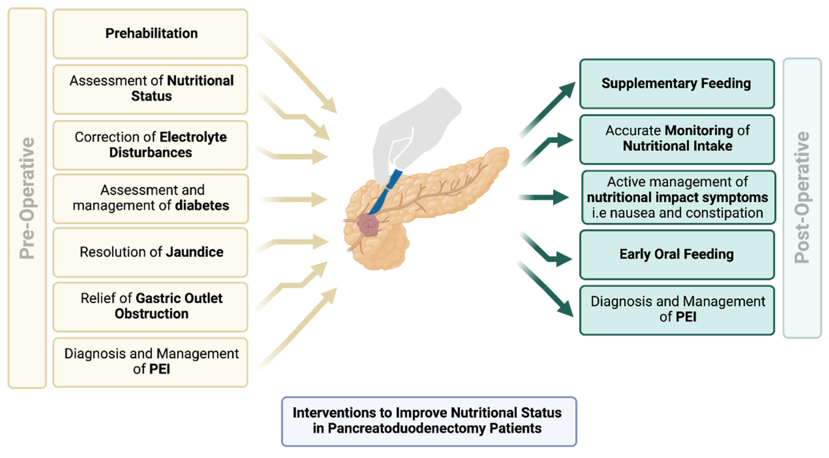 Cancers 15 02466 g002