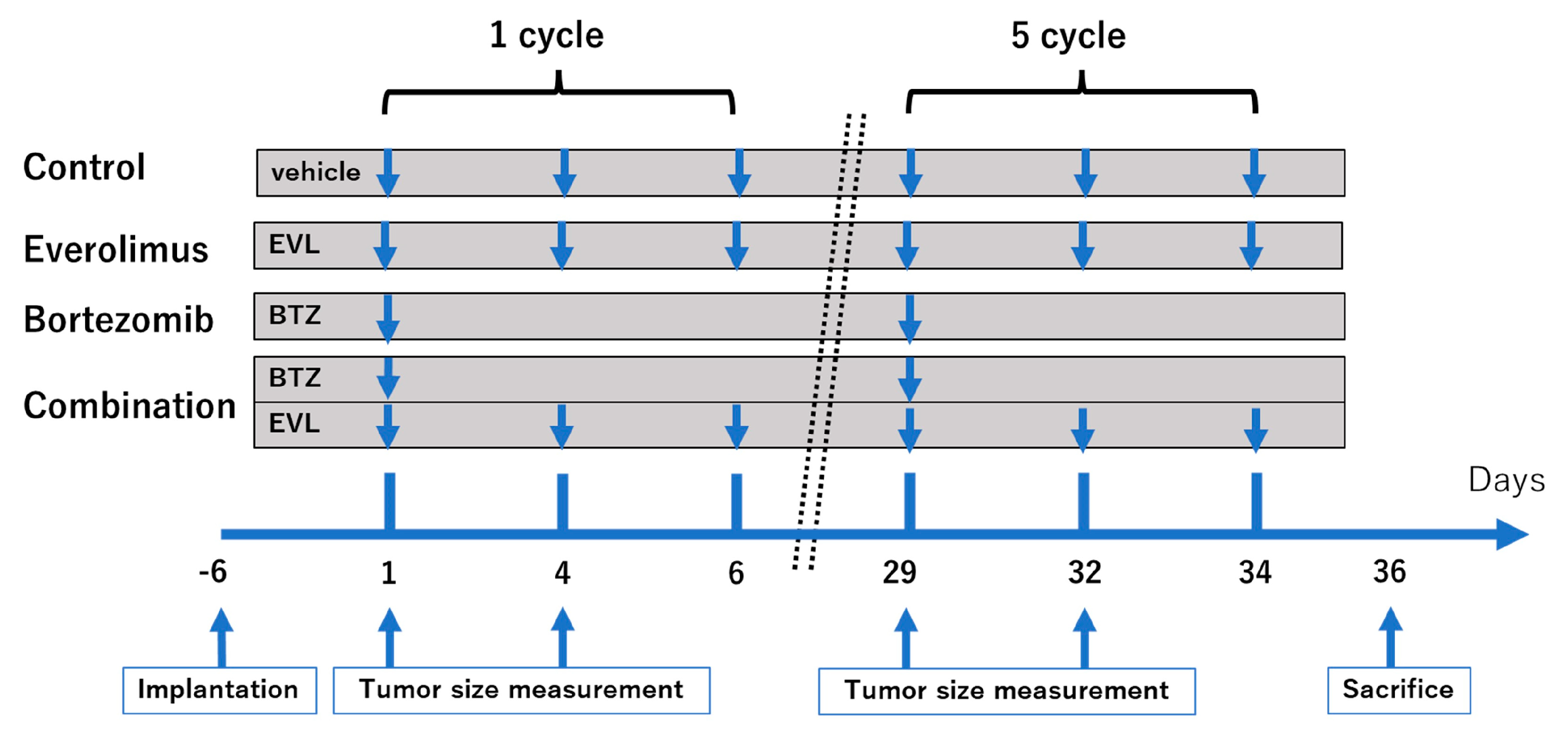 Cancers 15 02468 g001