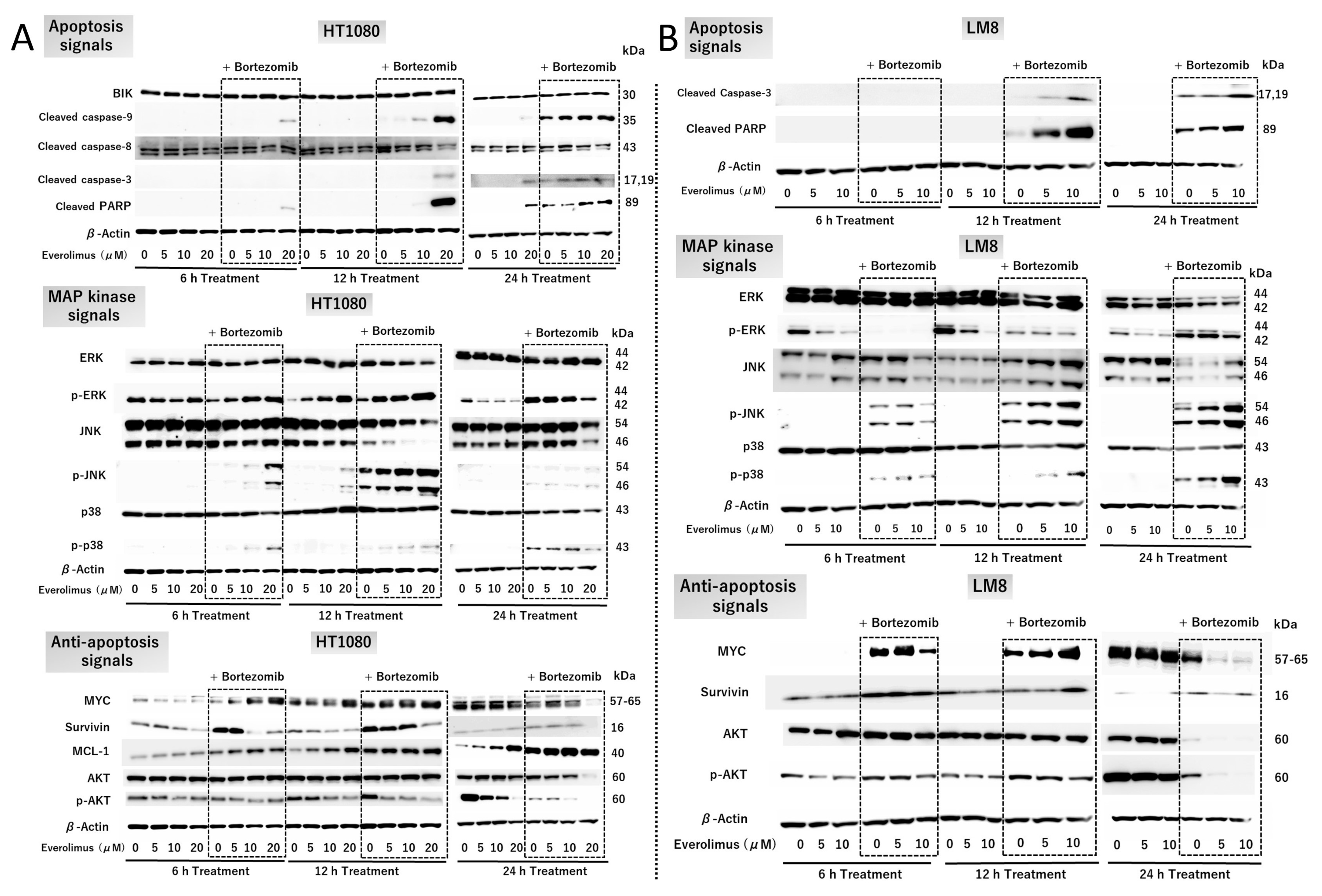 Cancers 15 02468 g003
