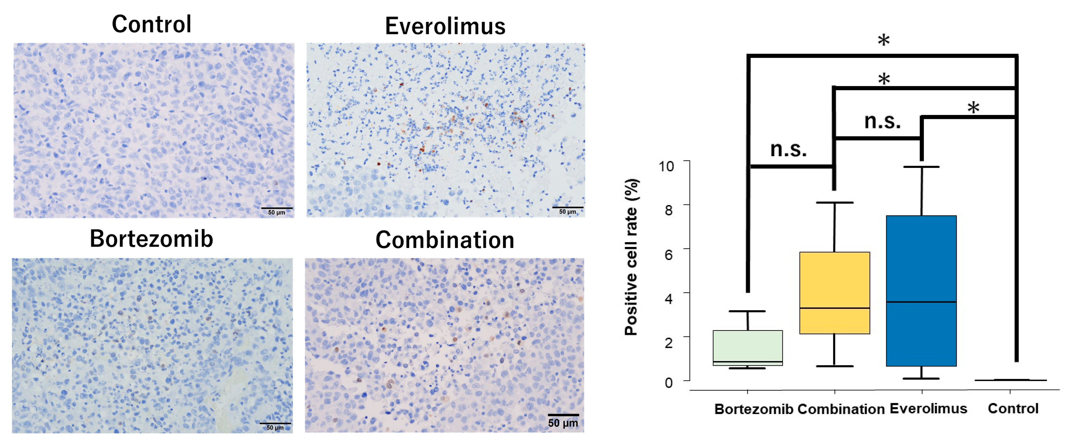 Cancers 15 02468 g005