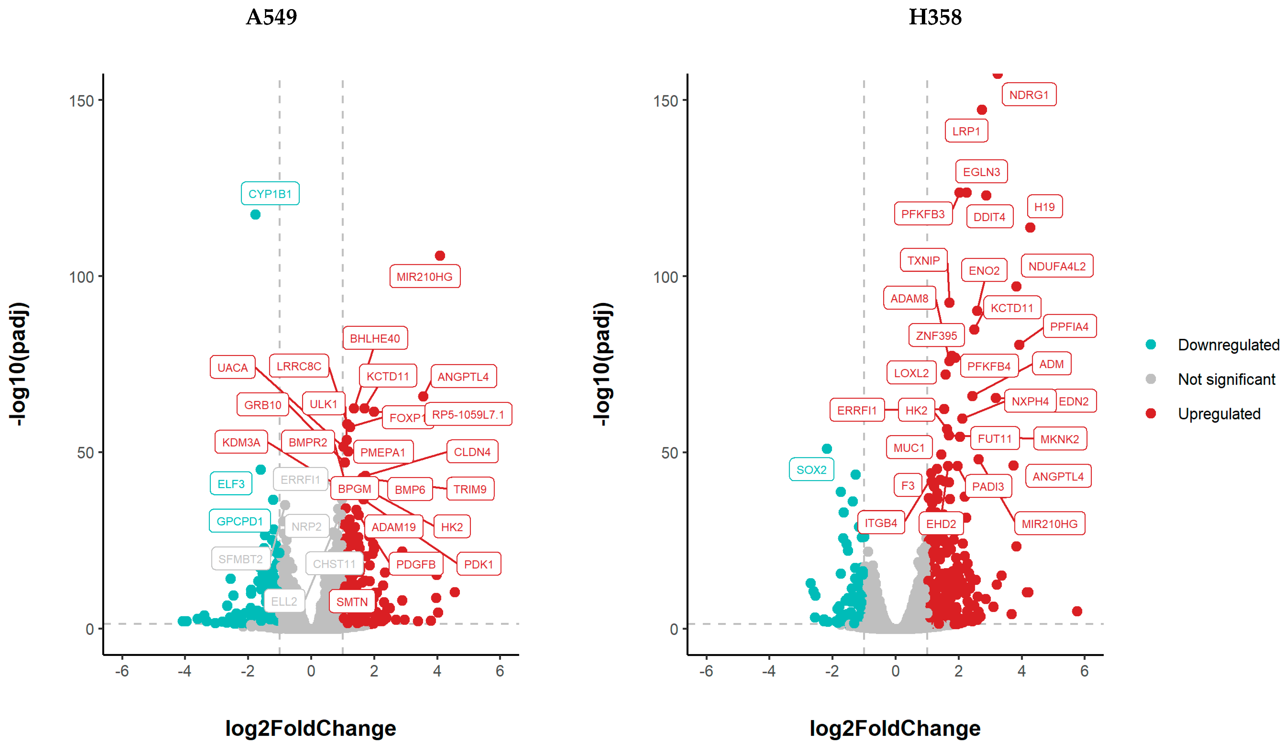 Cancers 15 02472 g007