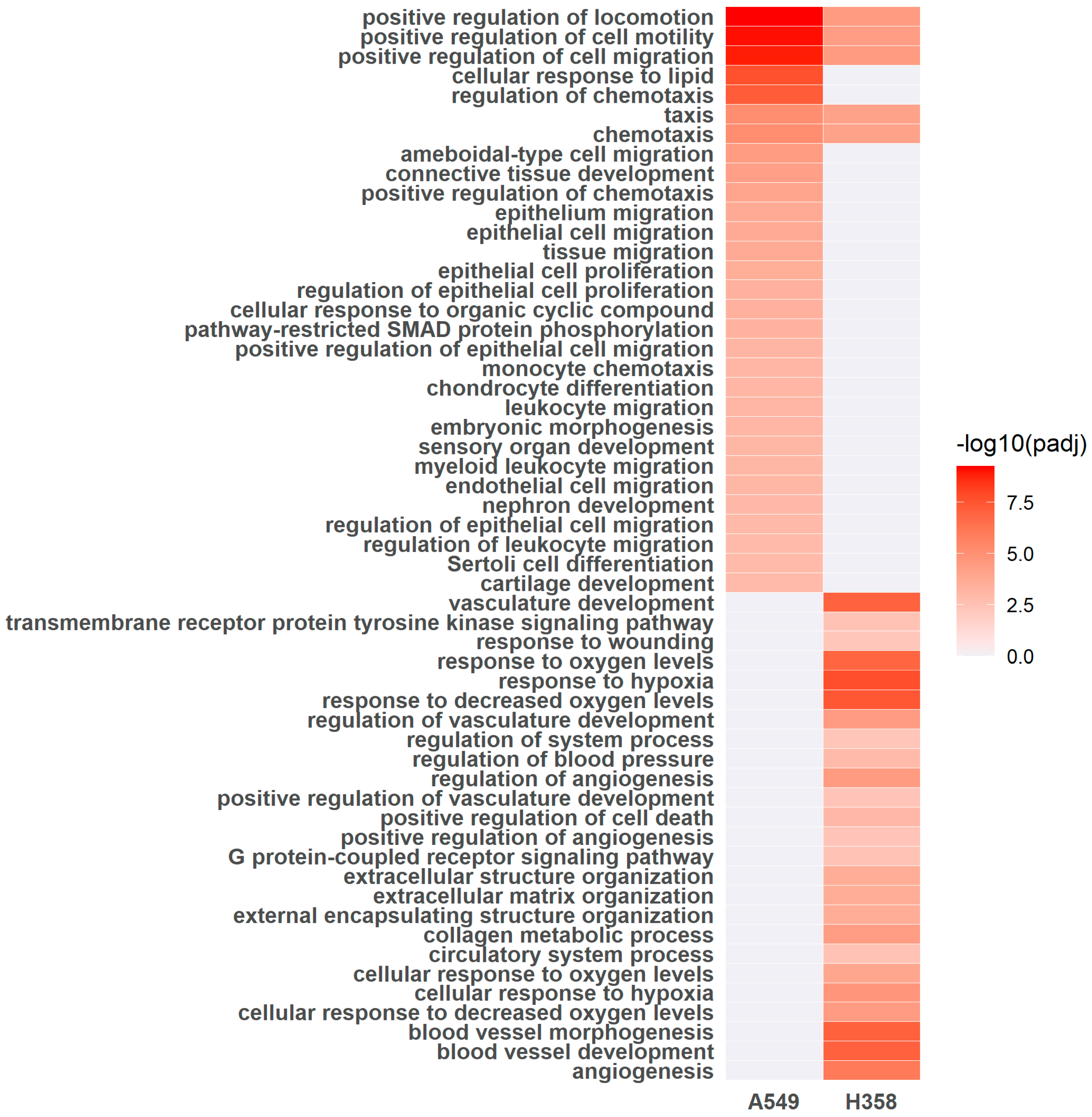 Cancers 15 02472 g008