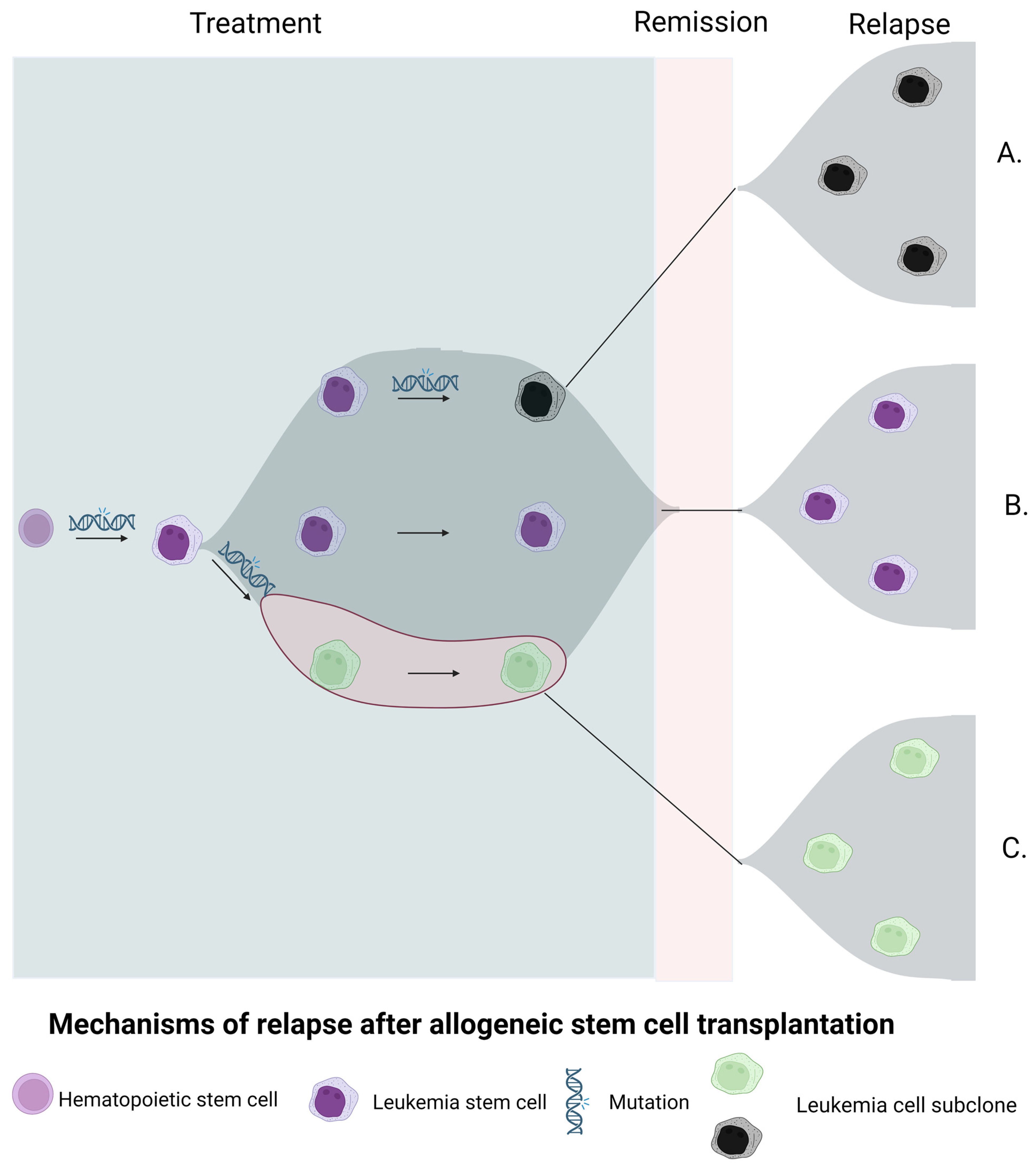 Cancers 15 02477 g001