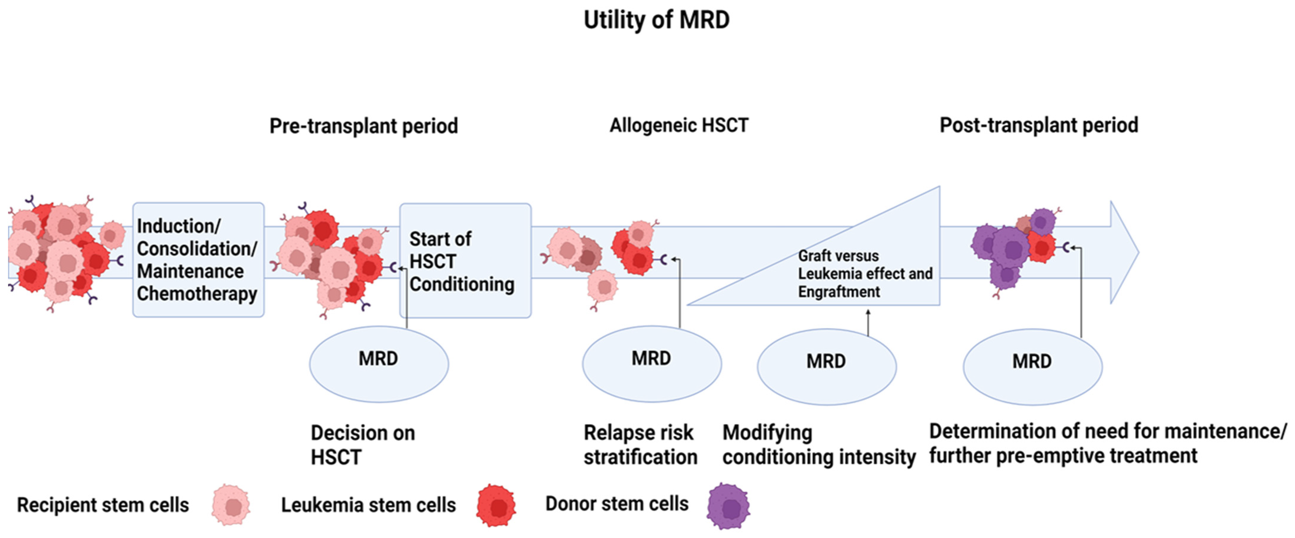 Cancers 15 02477 g003