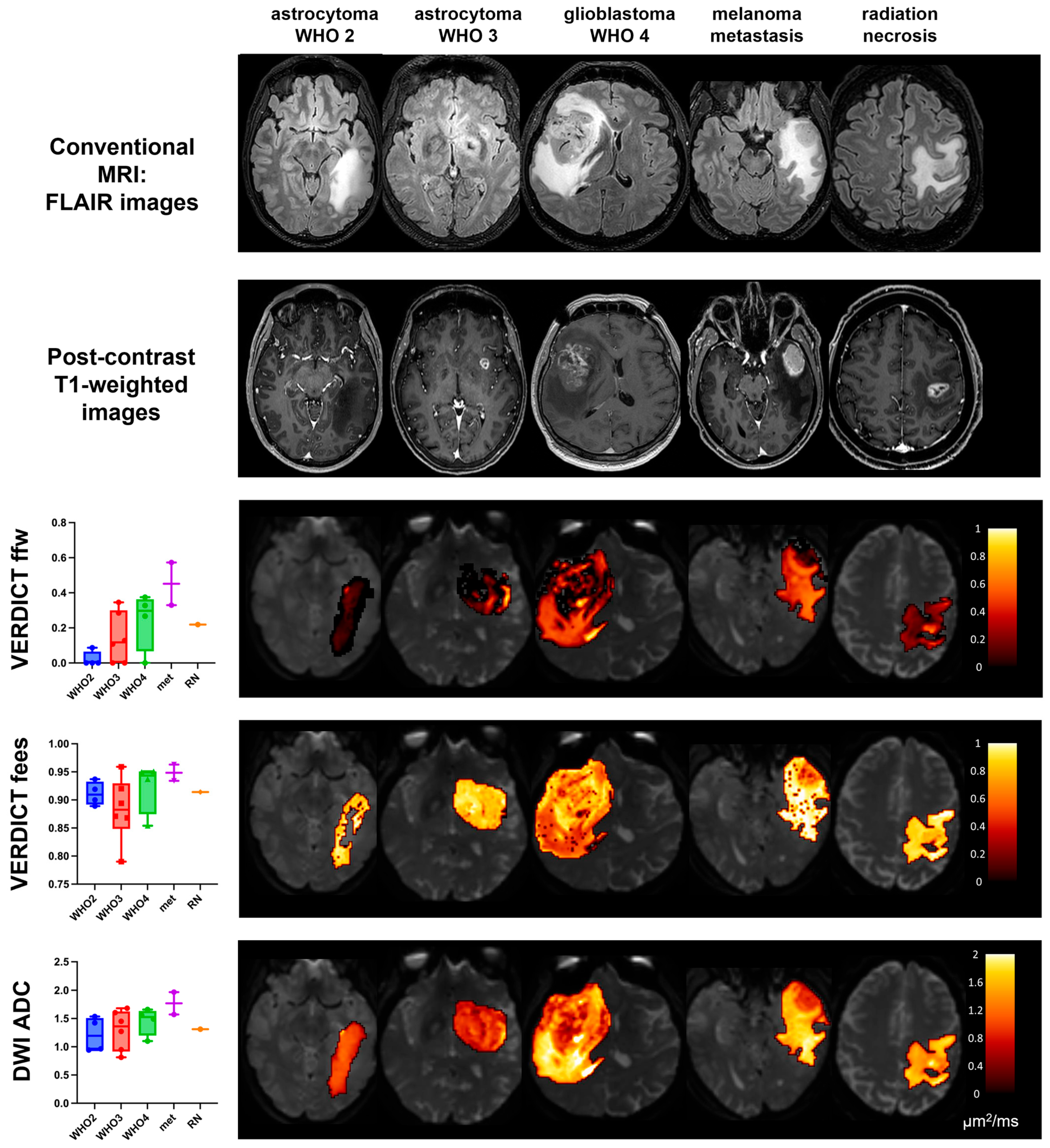 Cancers 15 02490 g004