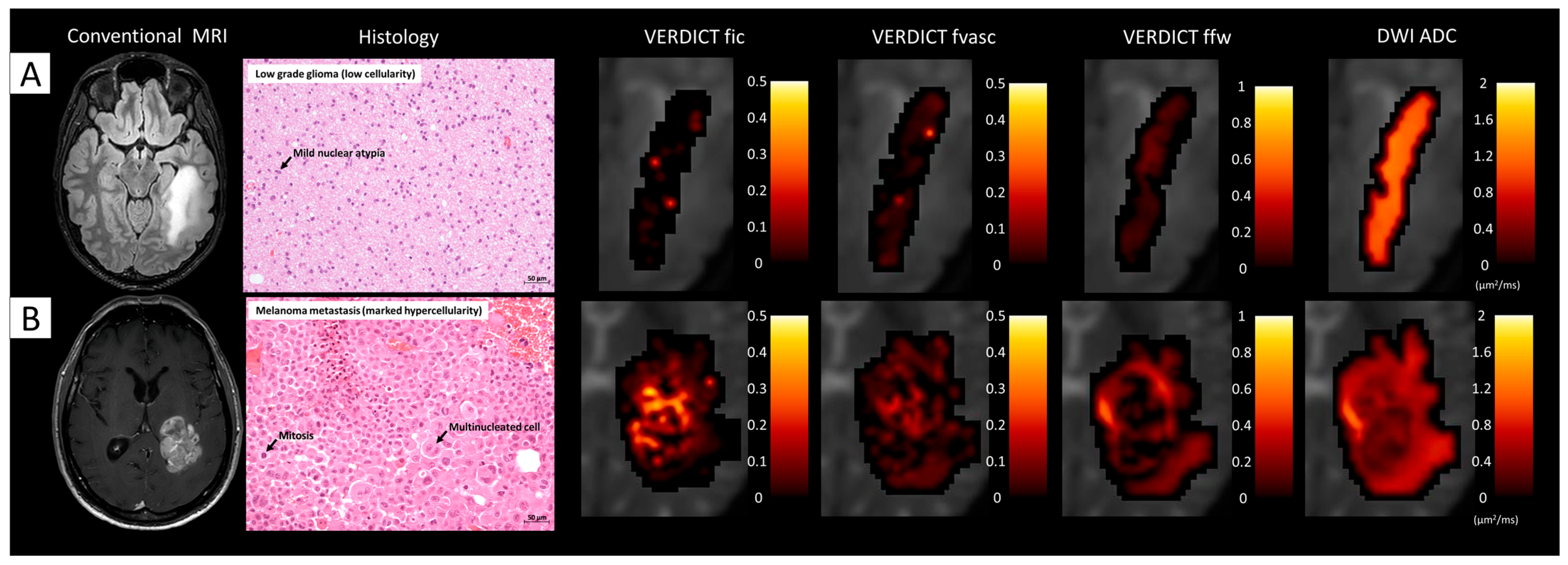 Cancers 15 02490 g006