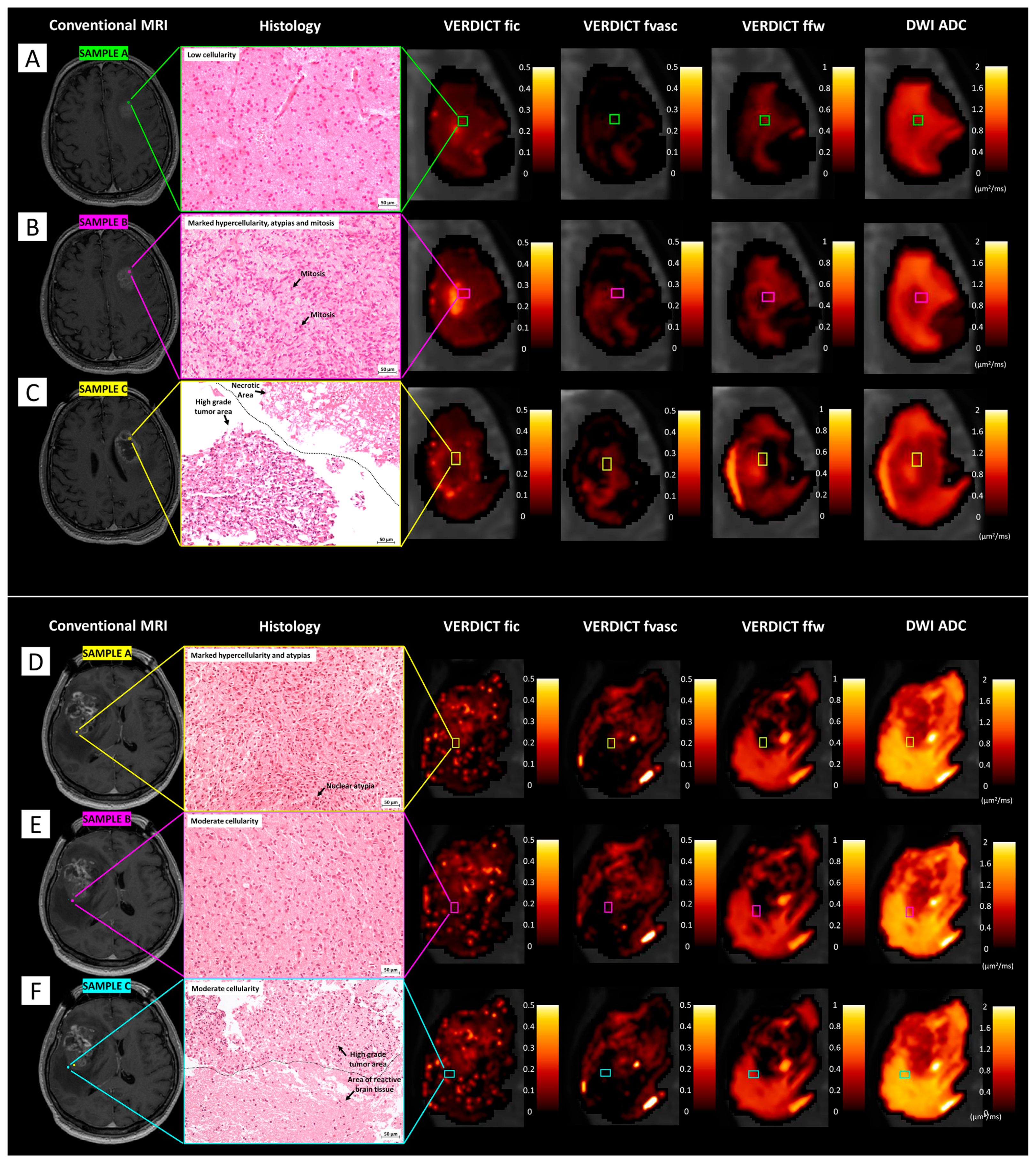 Cancers 15 02490 g007