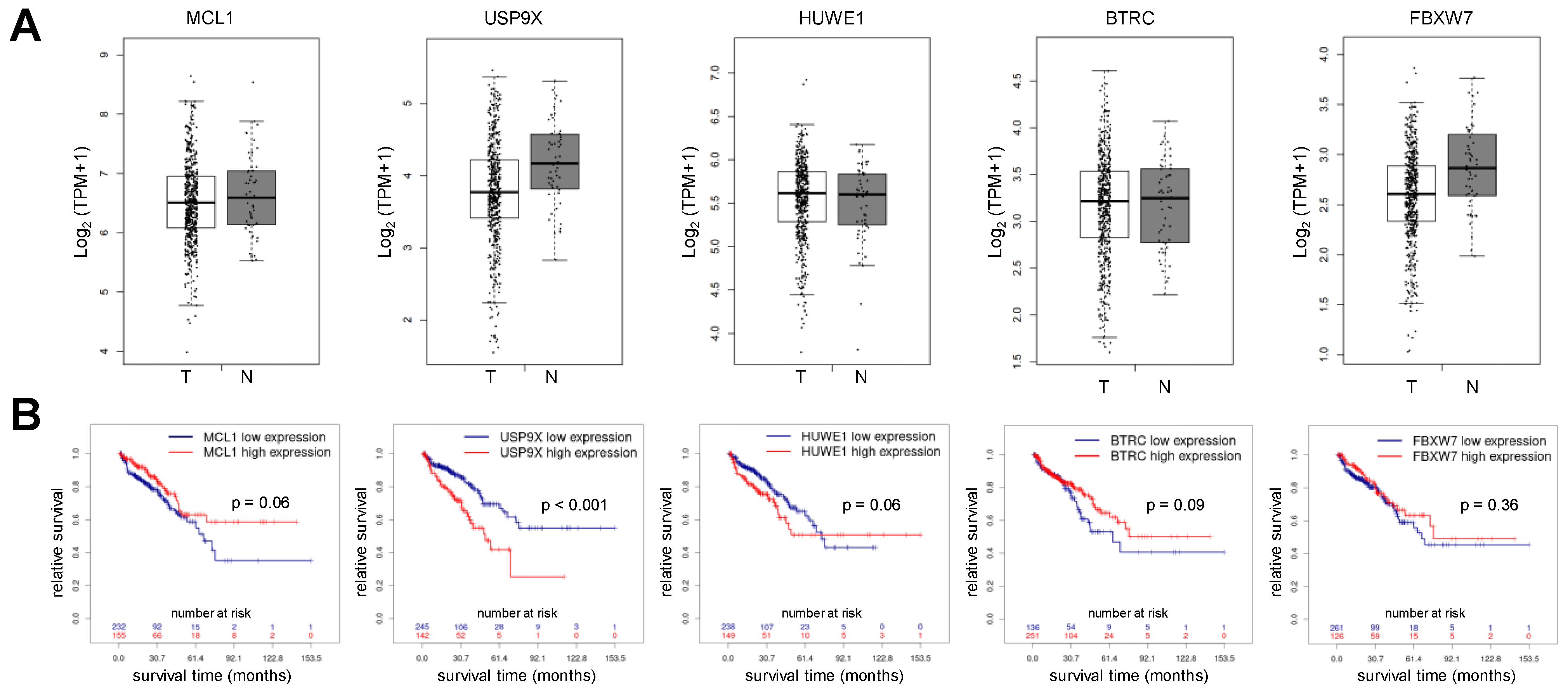 Cancers 15 02496 g001
