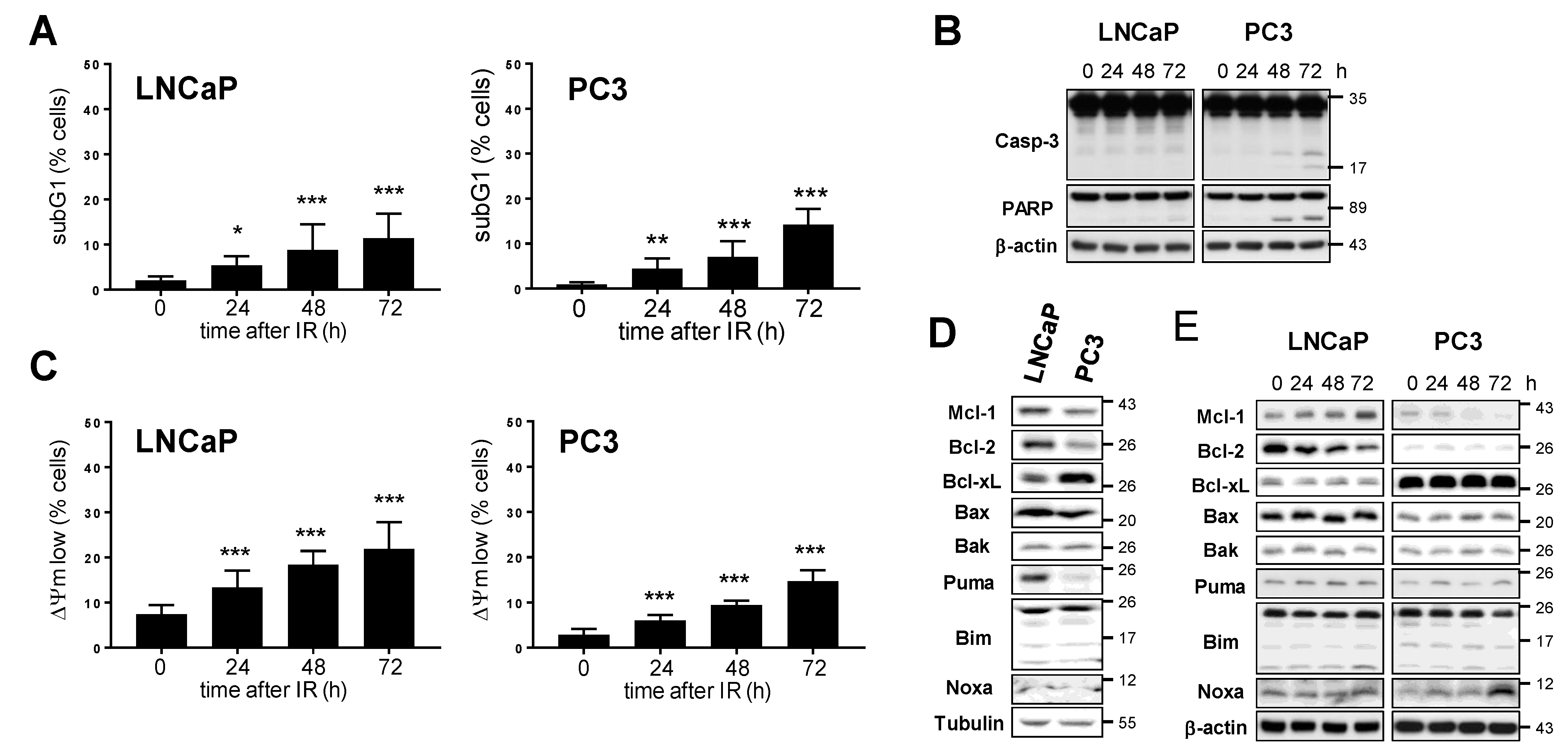 Cancers 15 02496 g003