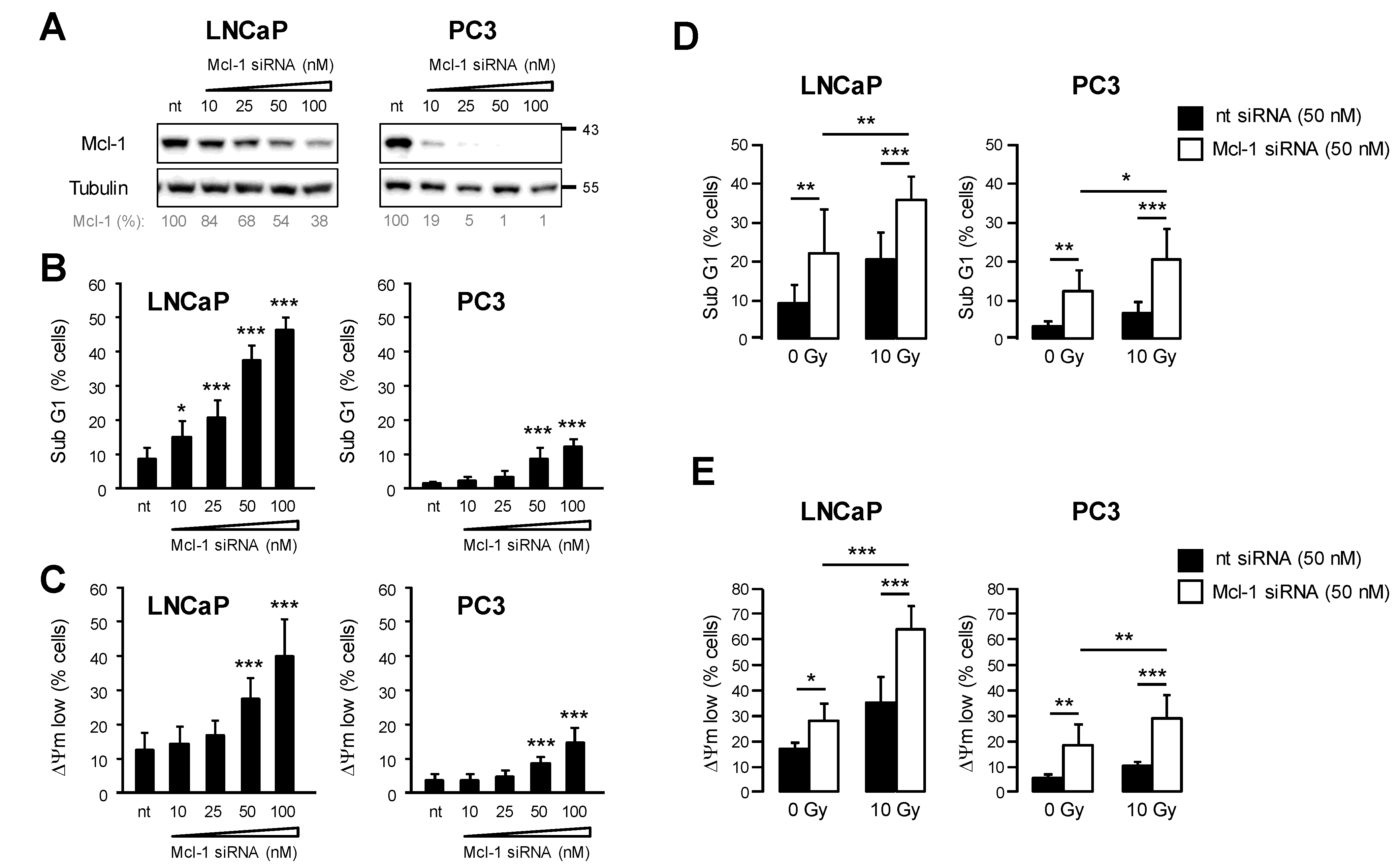 Cancers 15 02496 g004