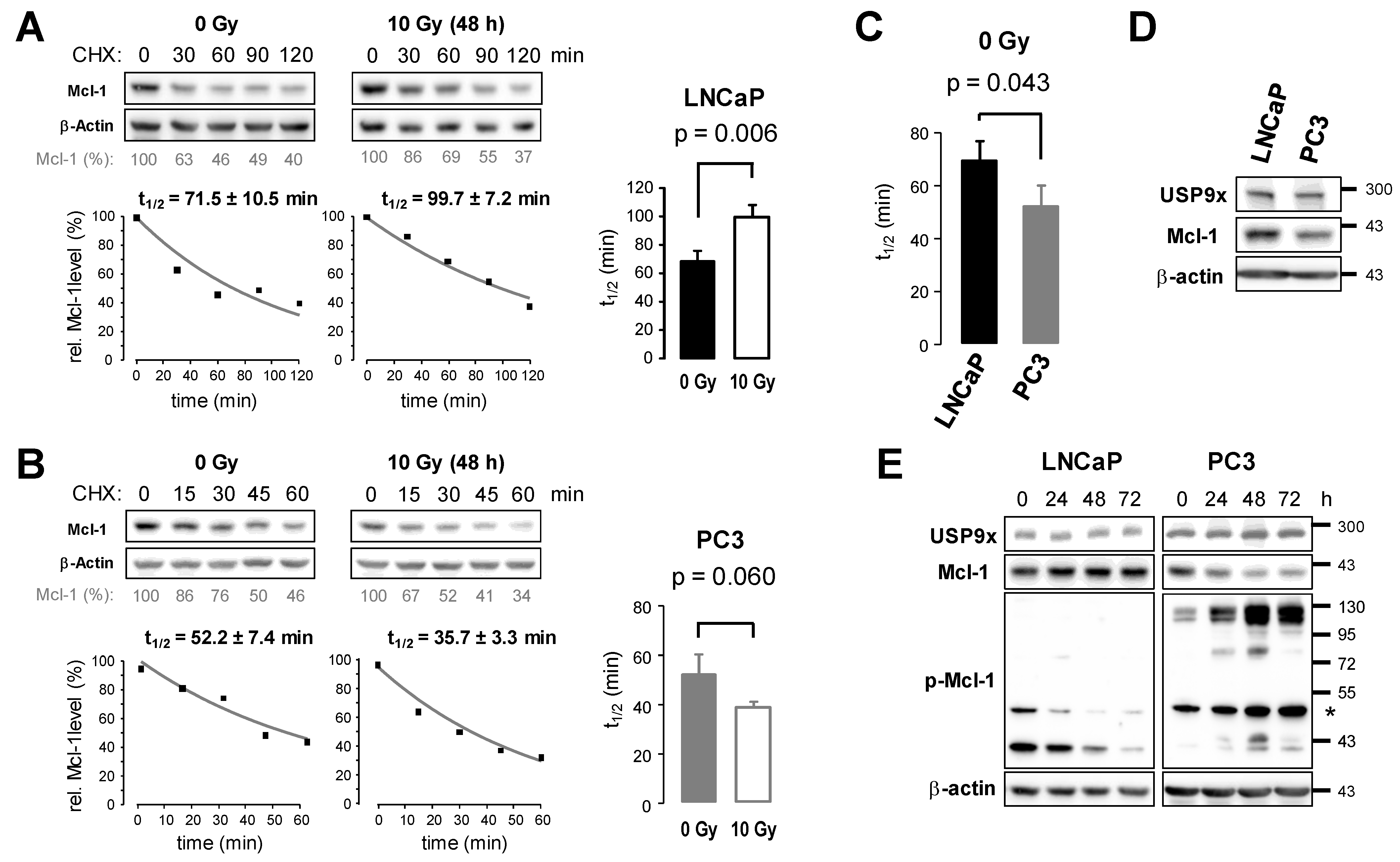 Cancers 15 02496 g005