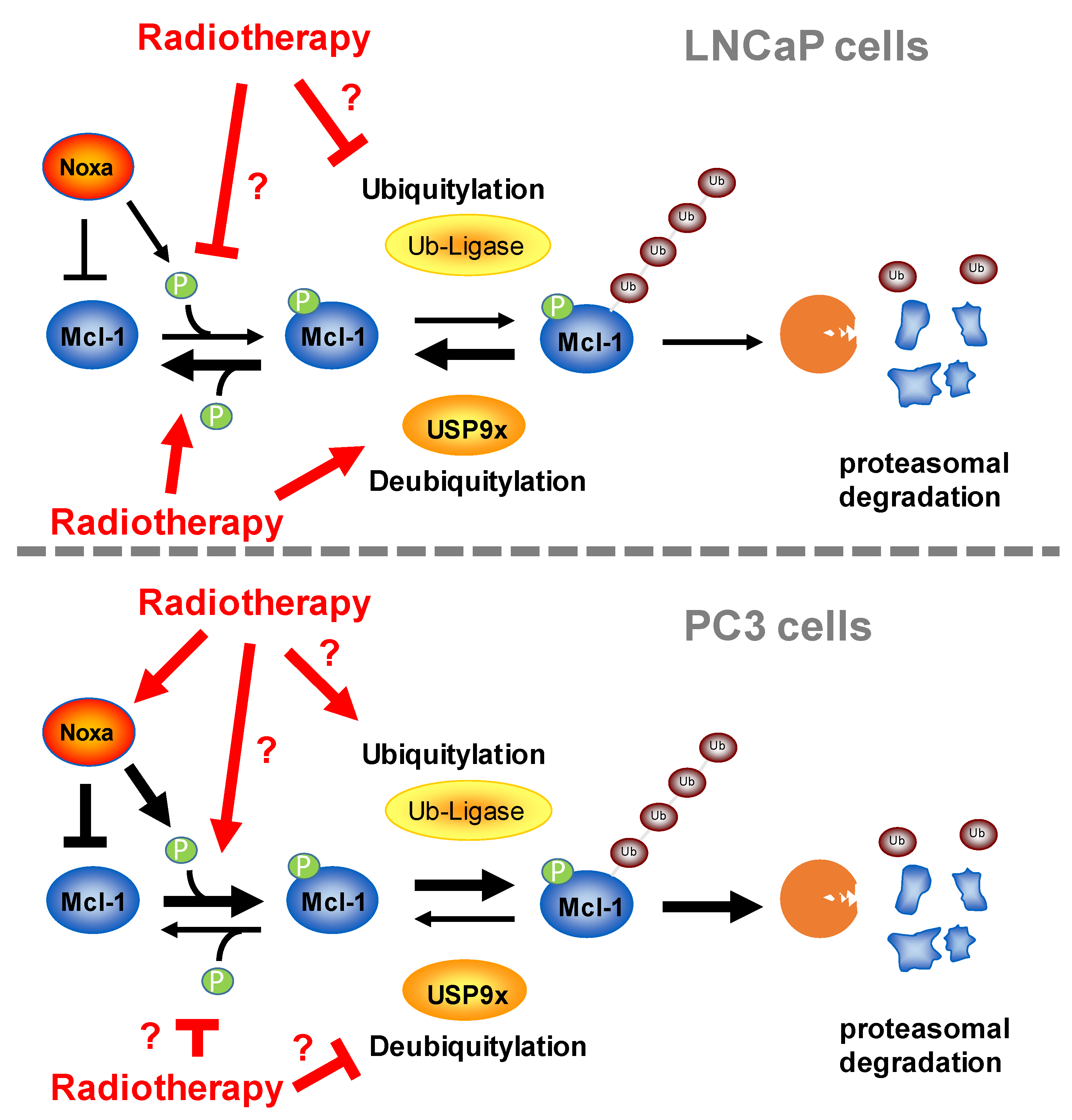 Cancers 15 02496 g008