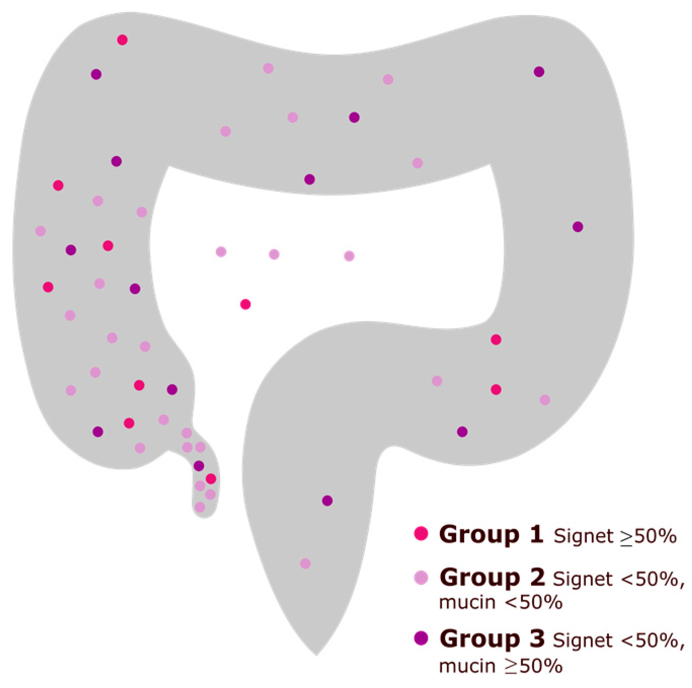 Cancers 15 02497 g002