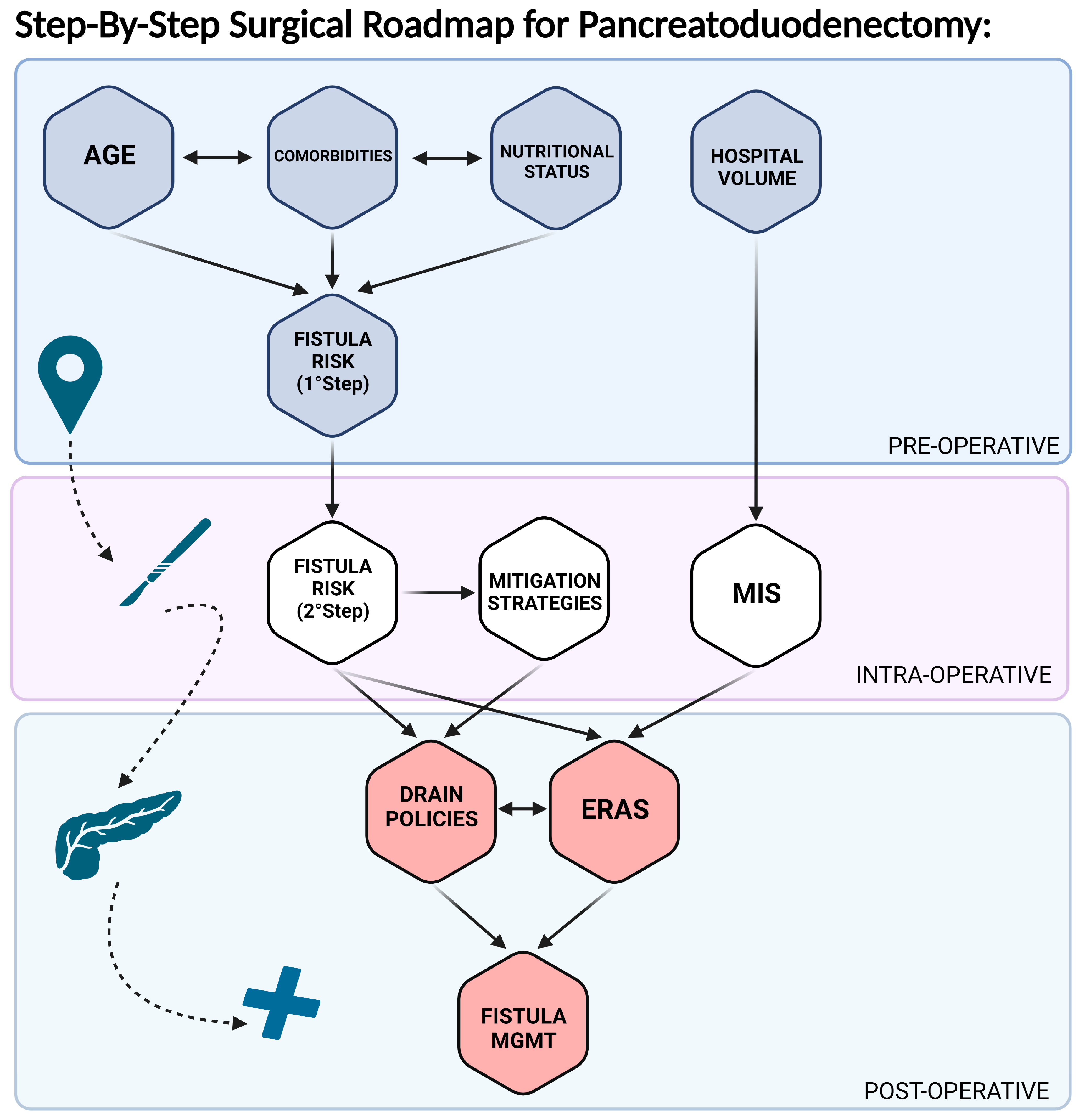Cancers 15 02499 g001