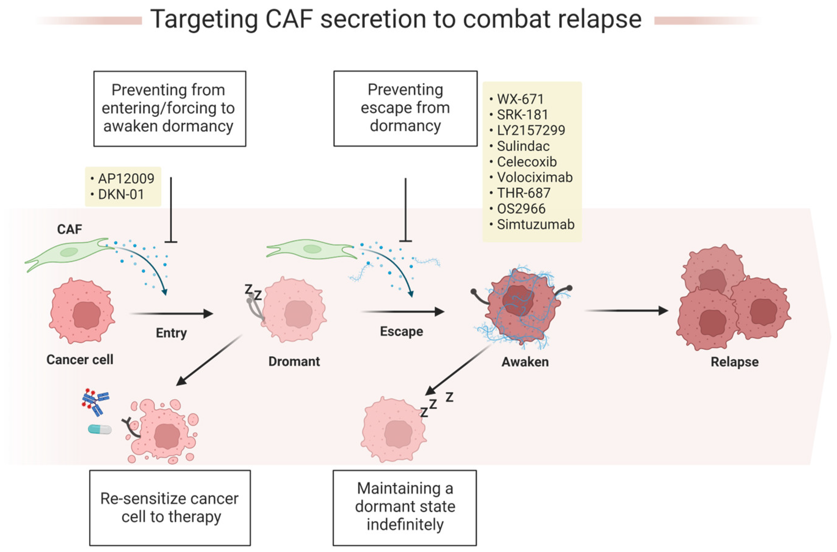 Cancers 15 02513 g003