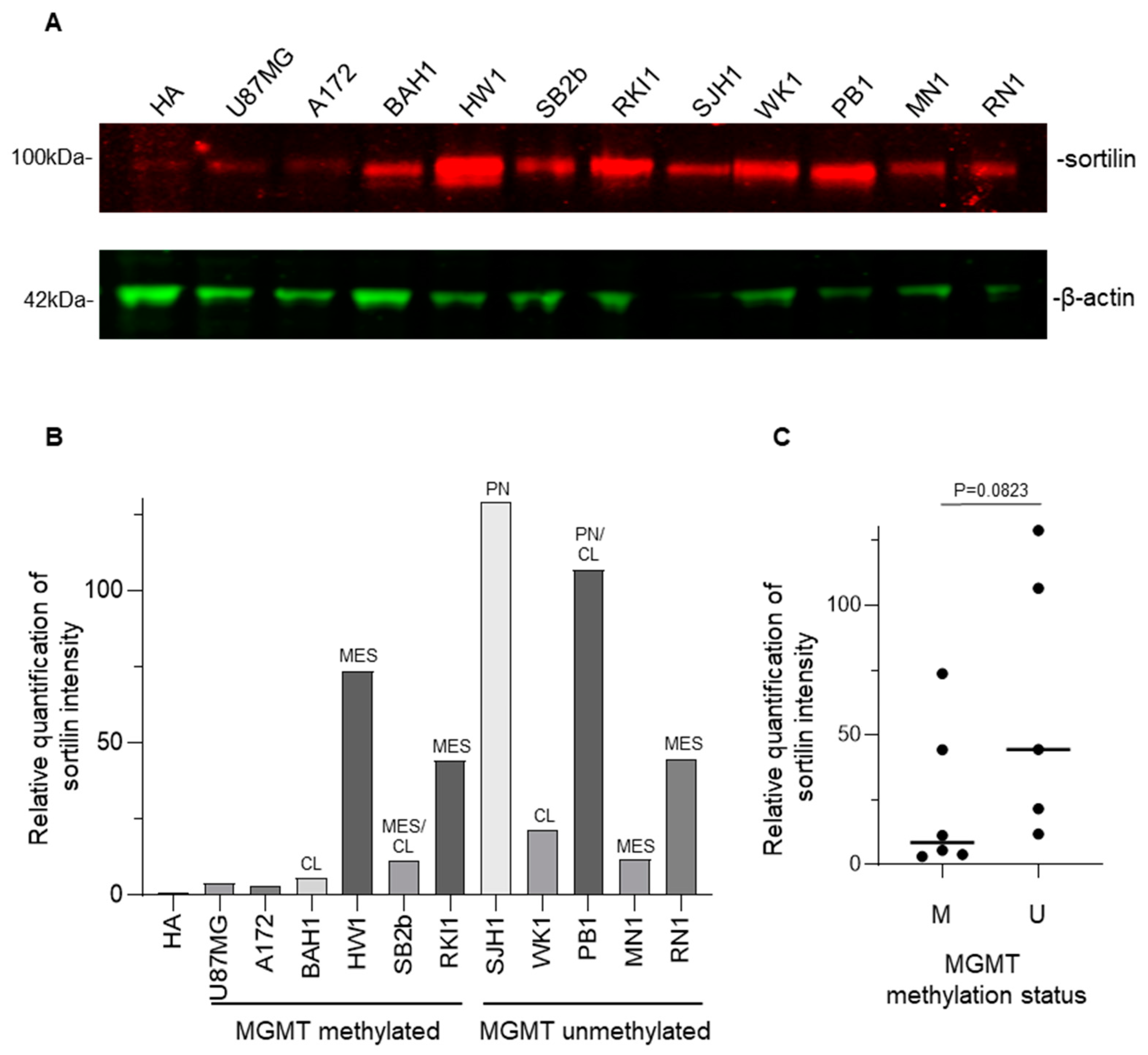 Cancers 15 02514 g004