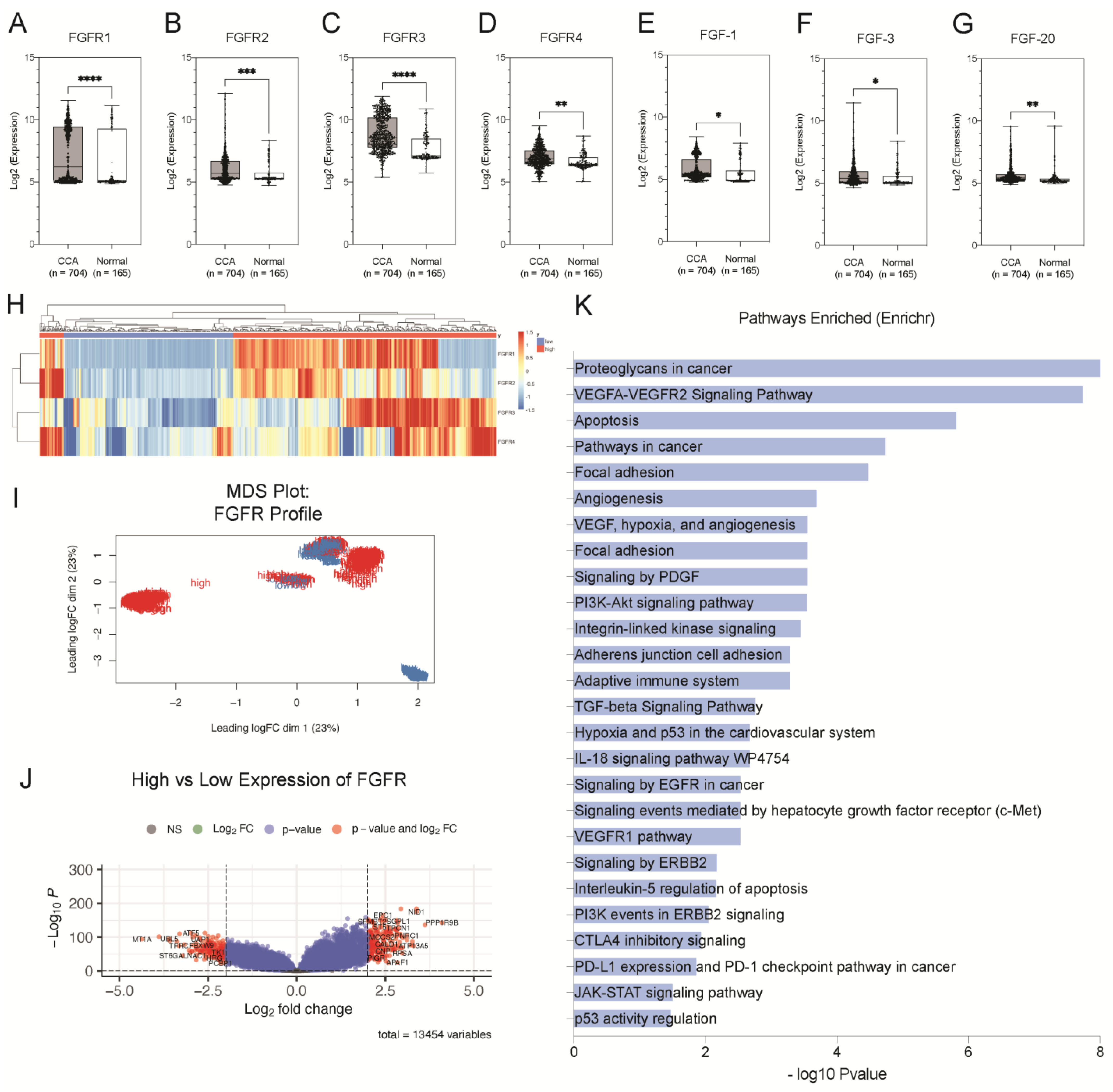 Cancers 15 02528 g001