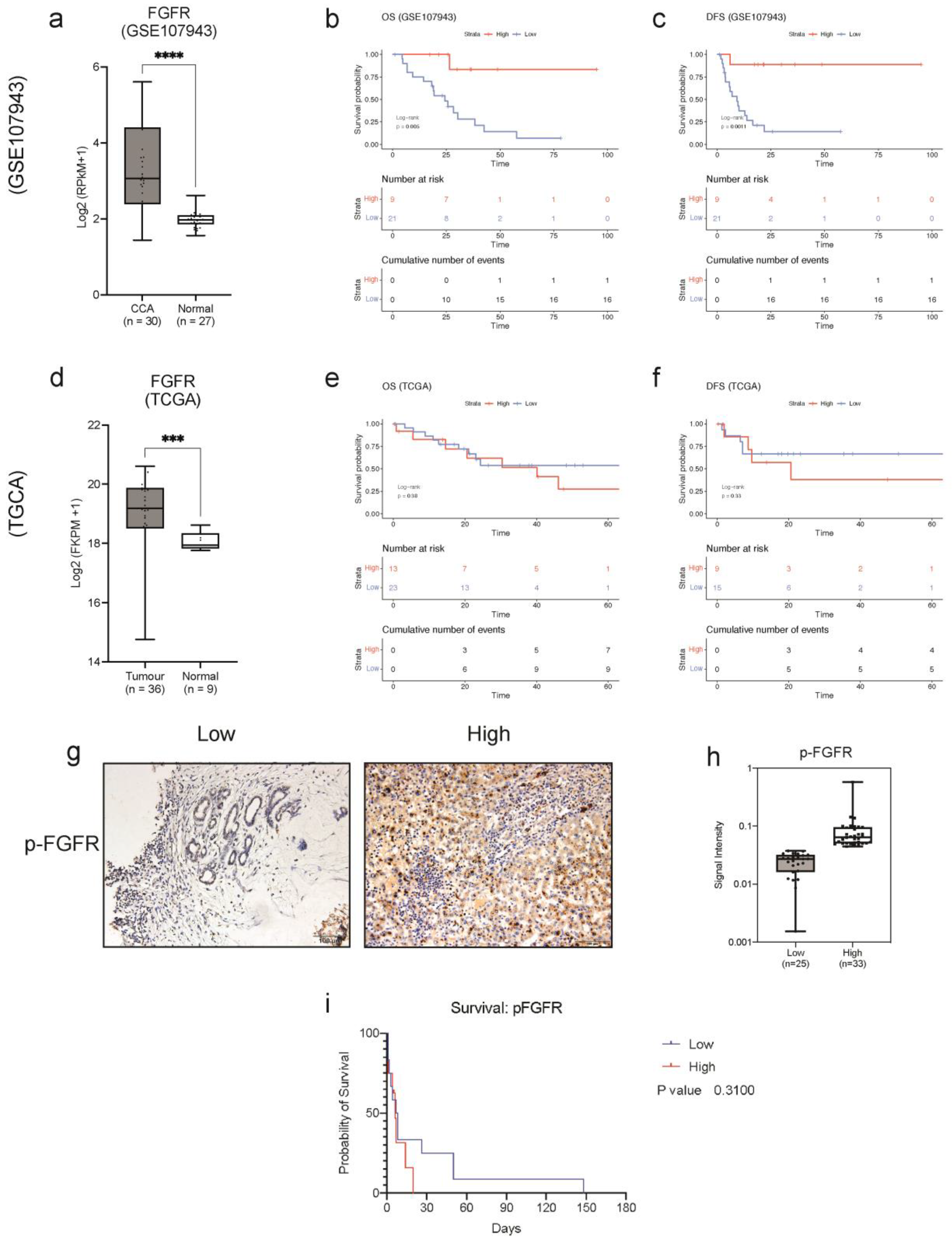 Cancers 15 02528 g002