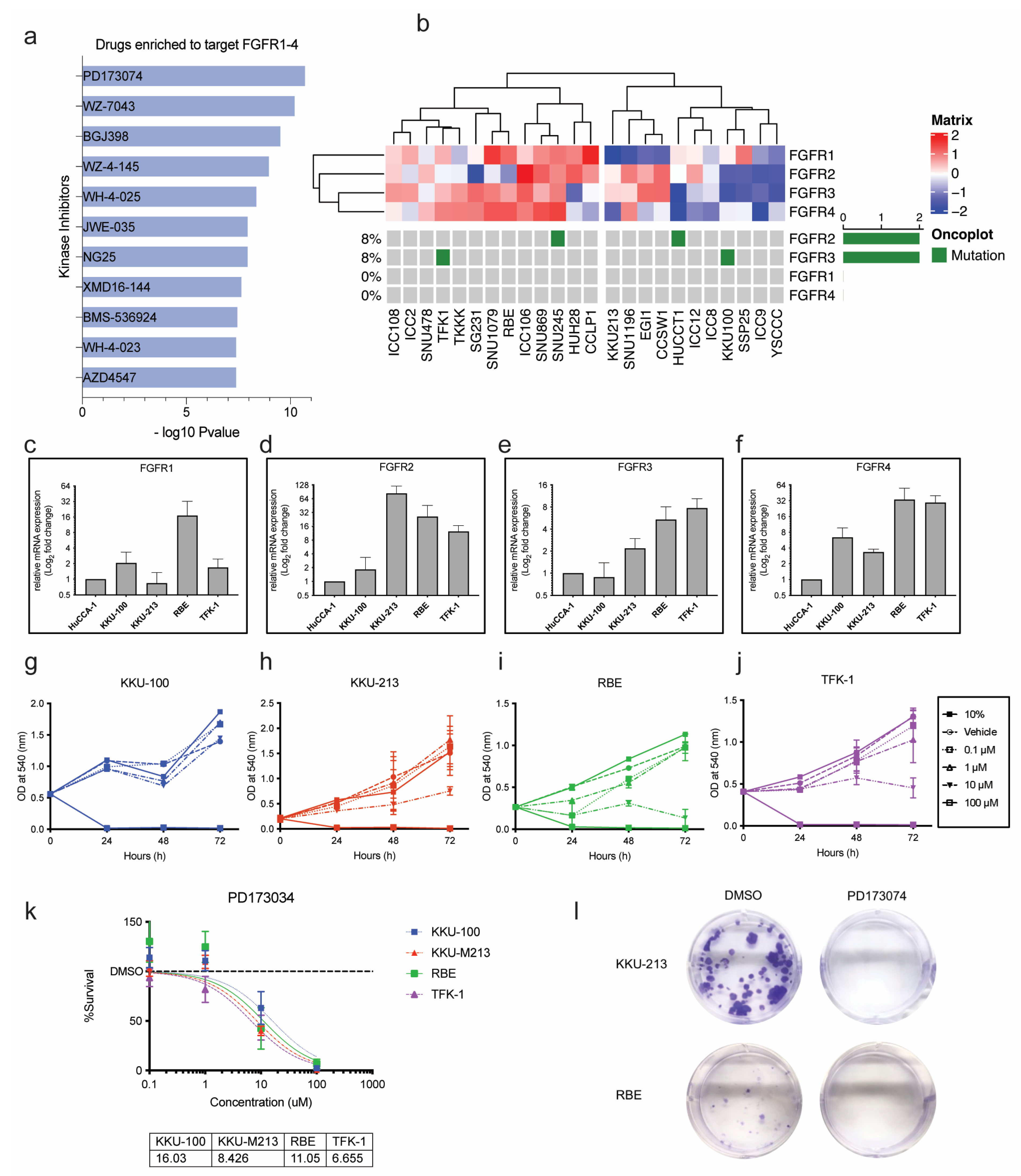 Cancers 15 02528 g003