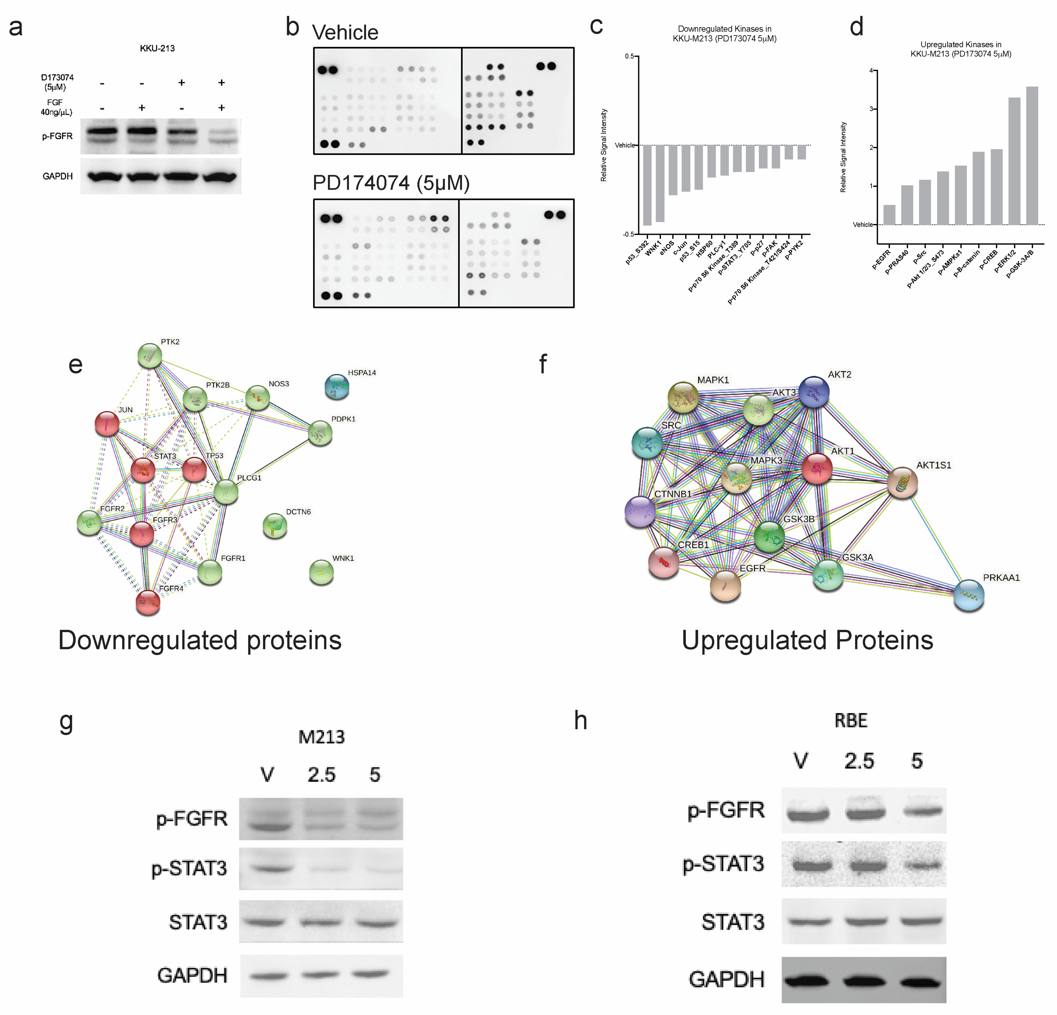 Cancers 15 02528 g005