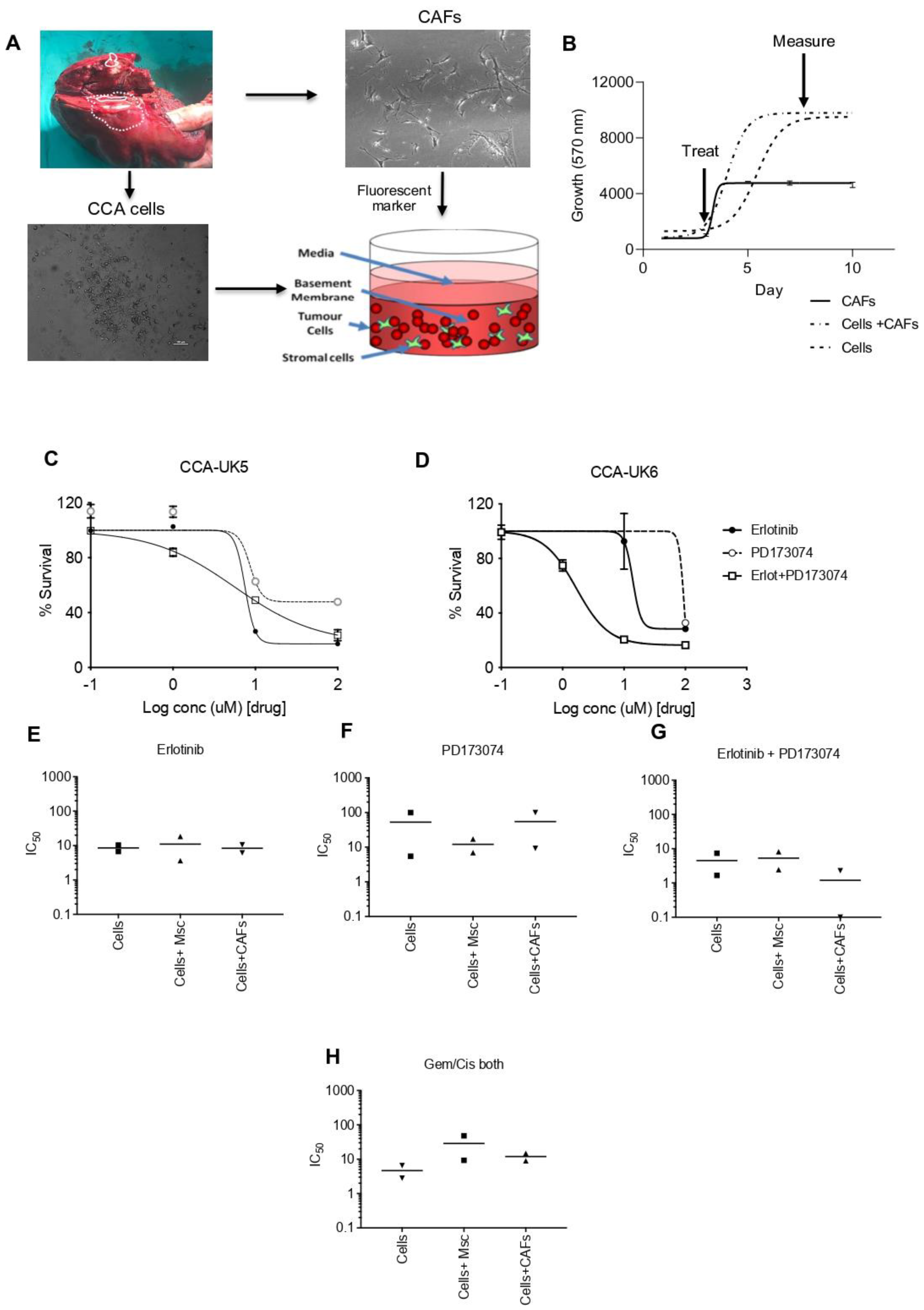 Cancers 15 02528 g007