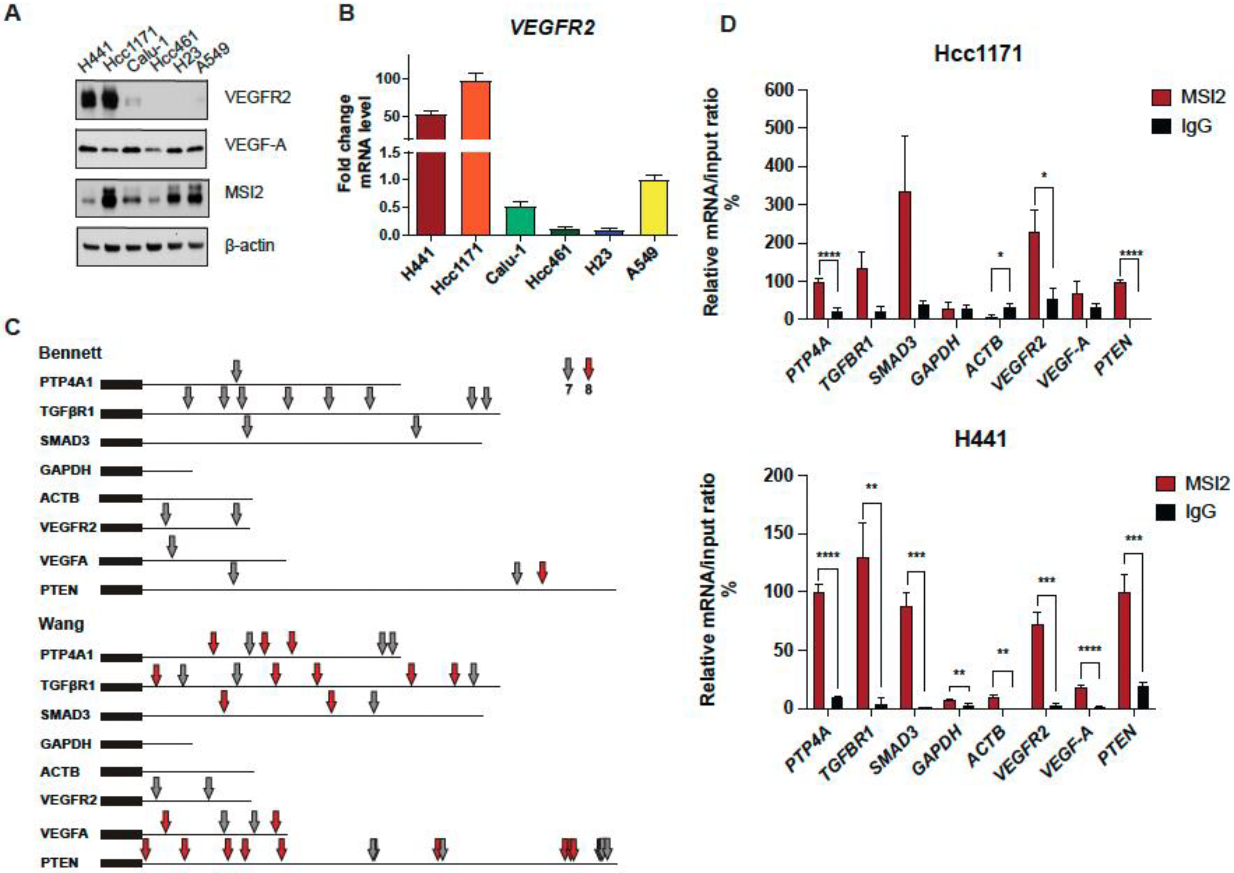 Cancers 15 02529 g001
