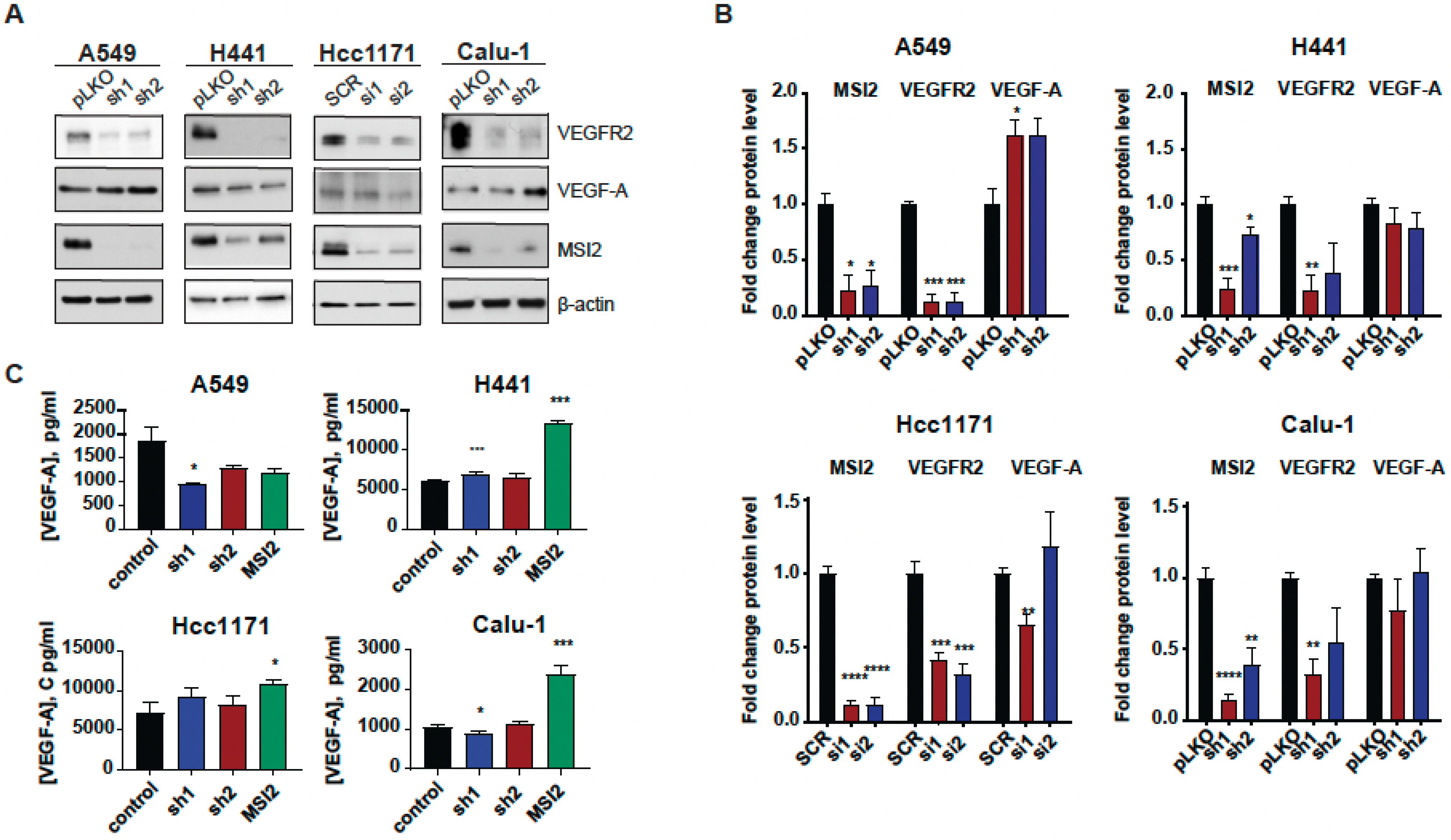 Cancers 15 02529 g002