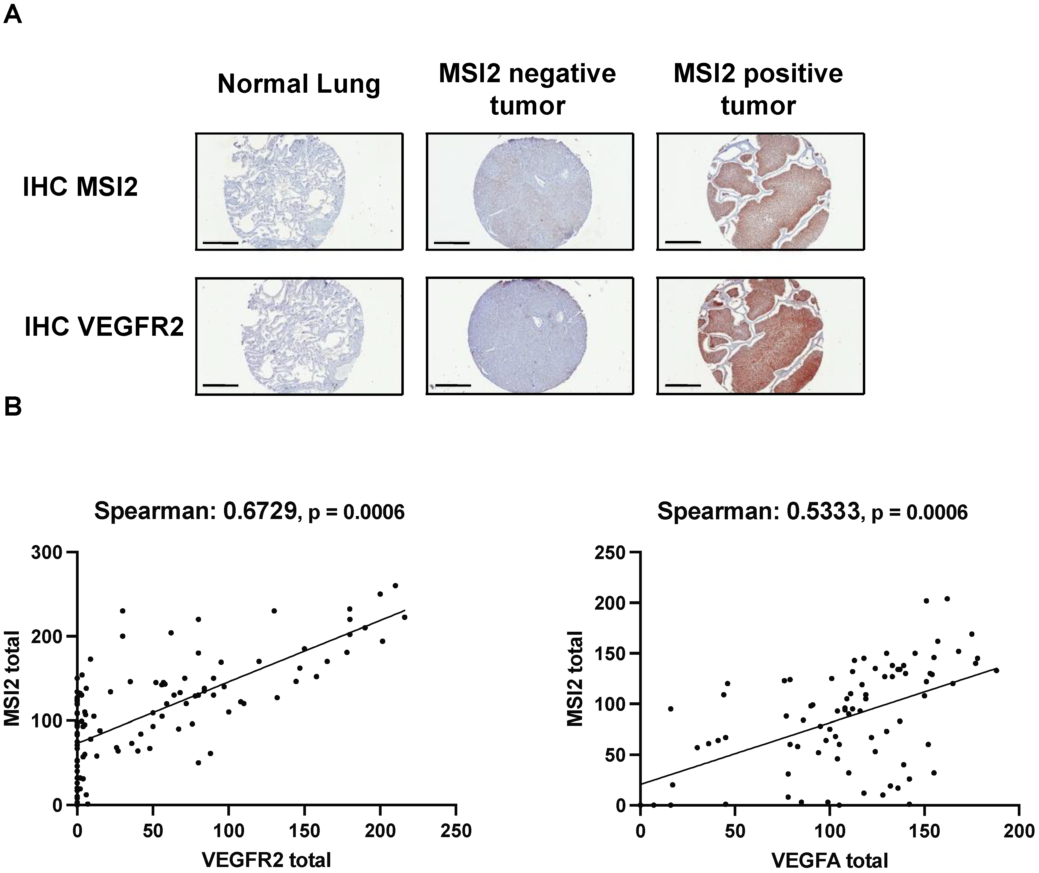 Cancers 15 02529 g004