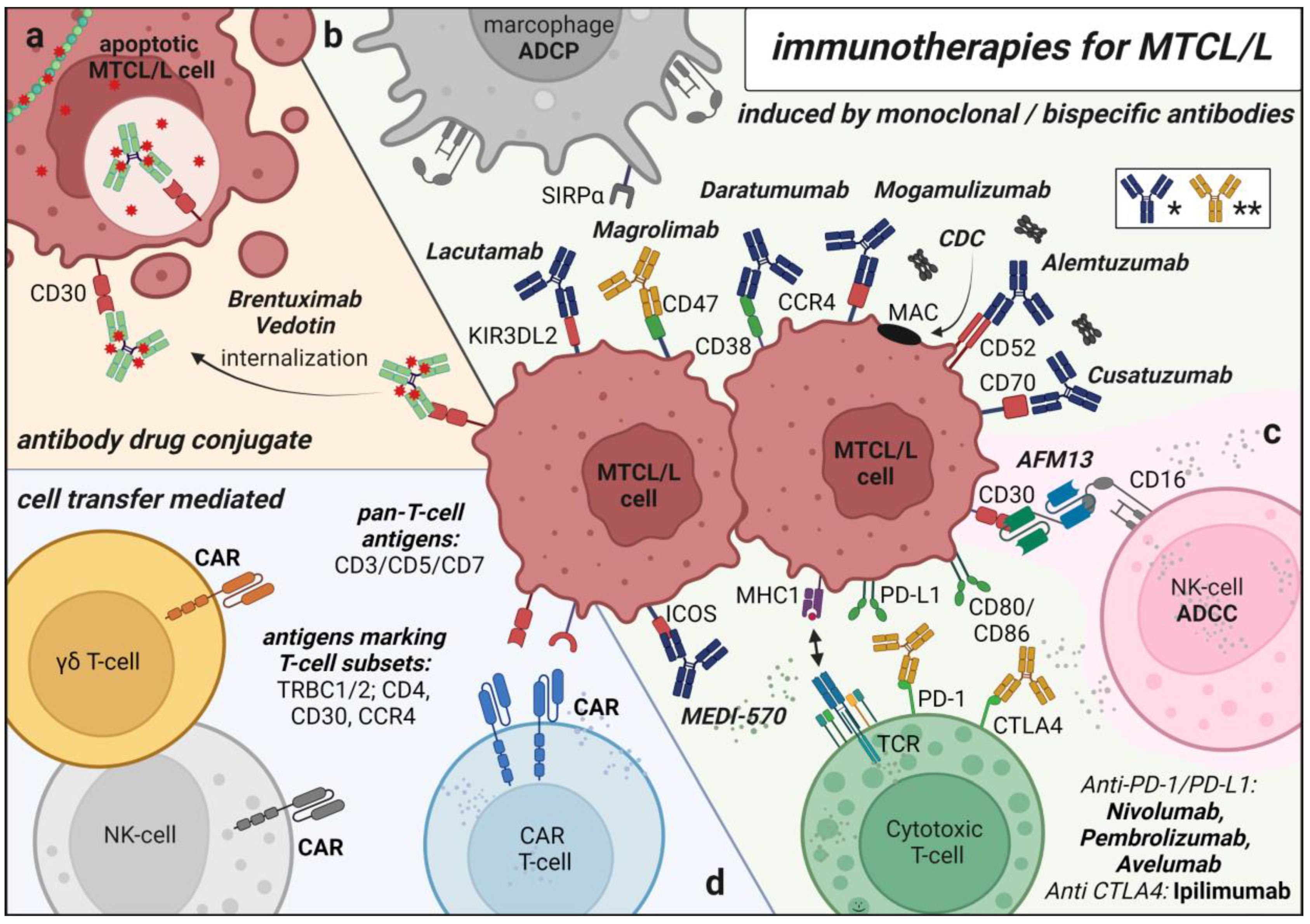 Cancers 15 02532 g002