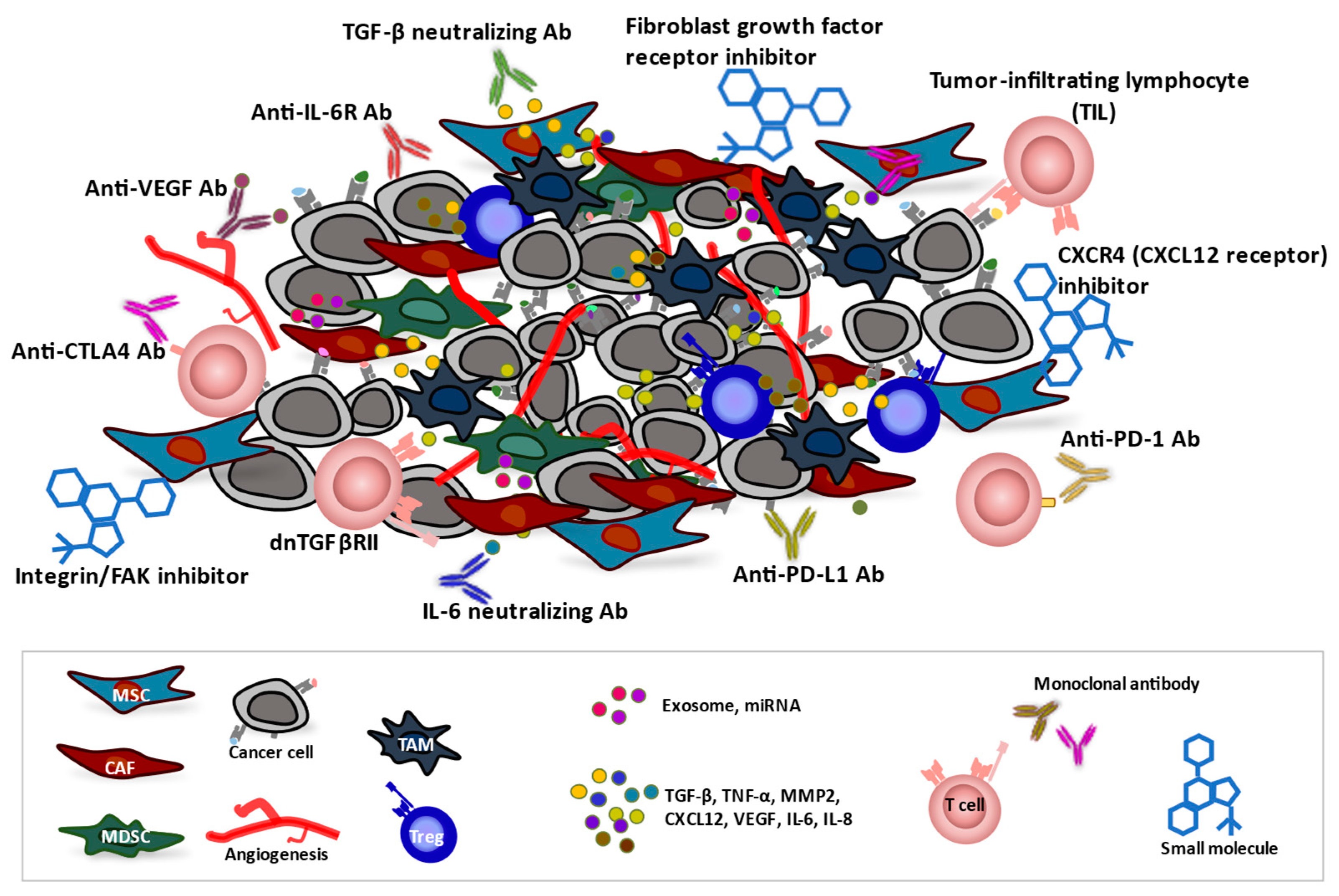 Cancers 15 02536 g003 Cancers 15 02536 g003