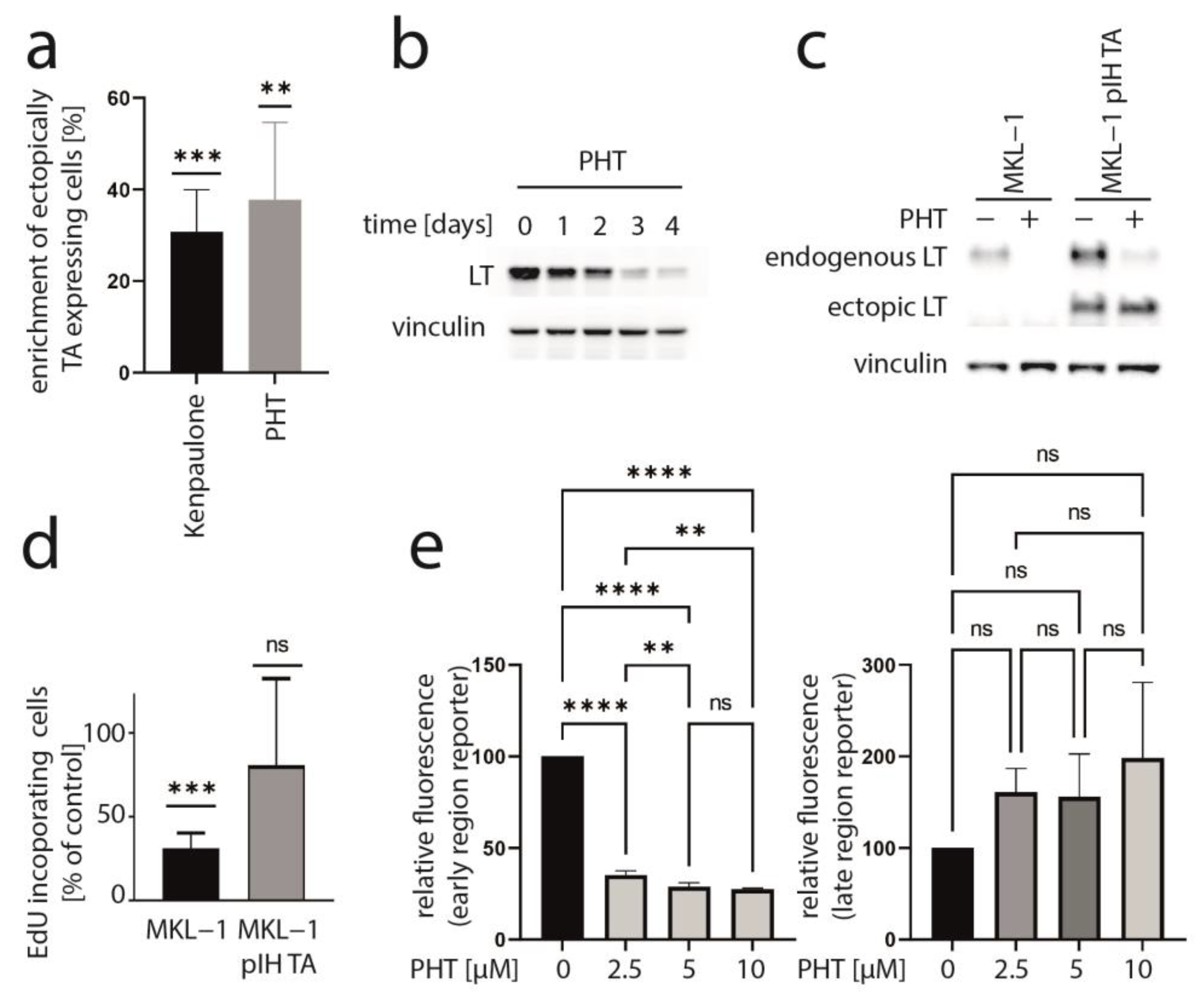 Cancers 15 02542 g001