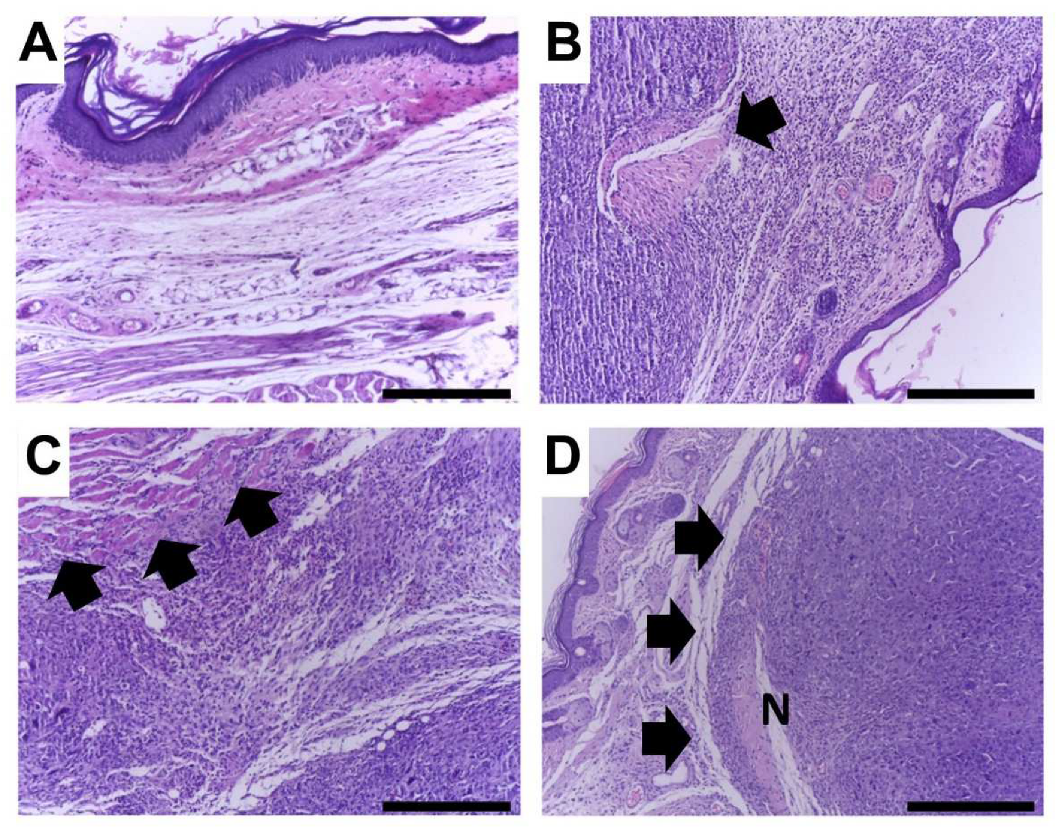 Cancers 15 02544 g005 Cancers 15 02544 g005
