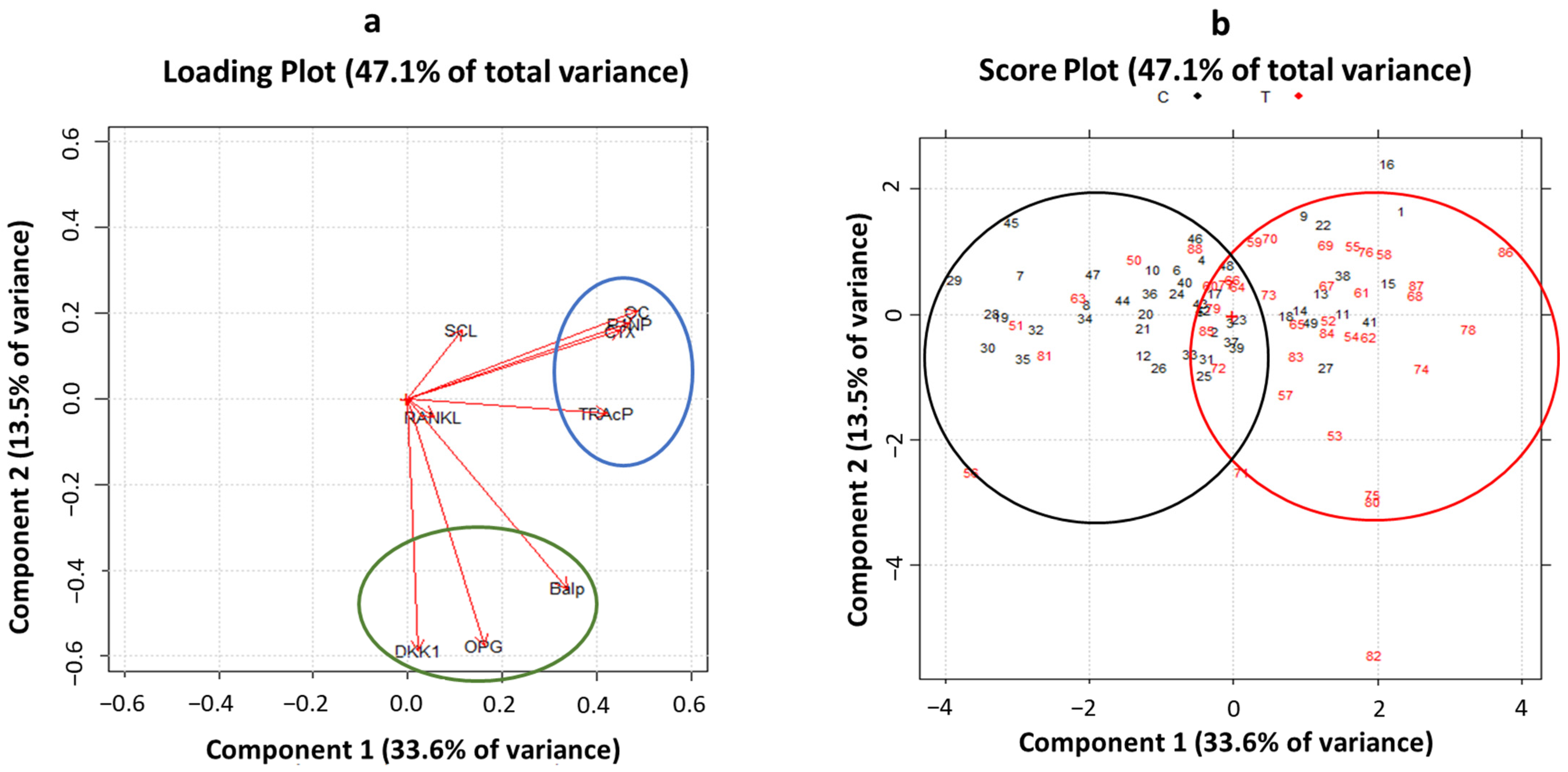 Cancers 15 02554 g003
