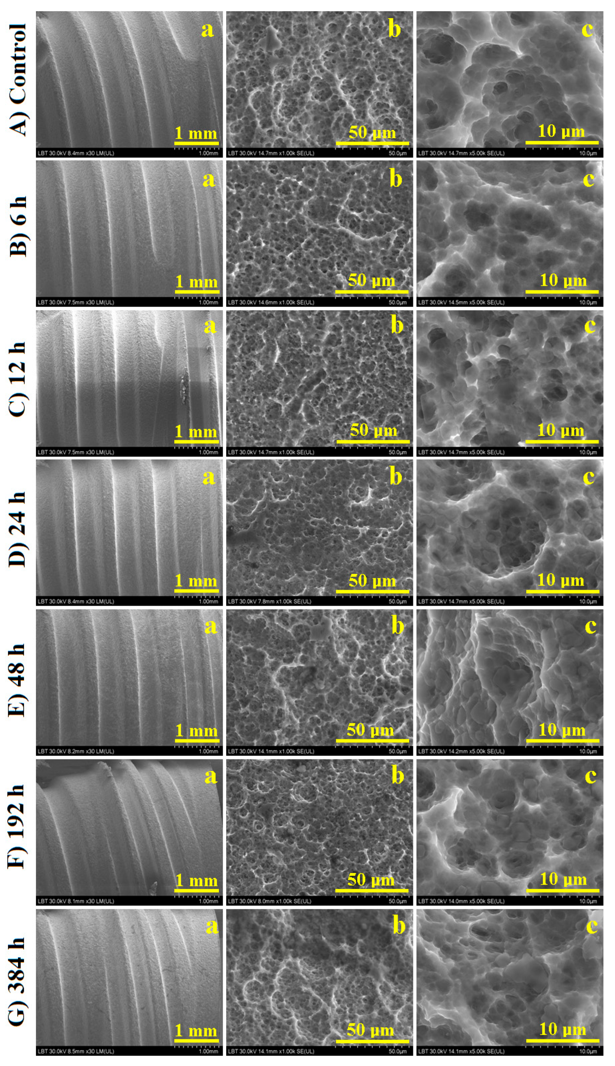 Cancers 15 02558 g001 Cancers 15 02558 g001