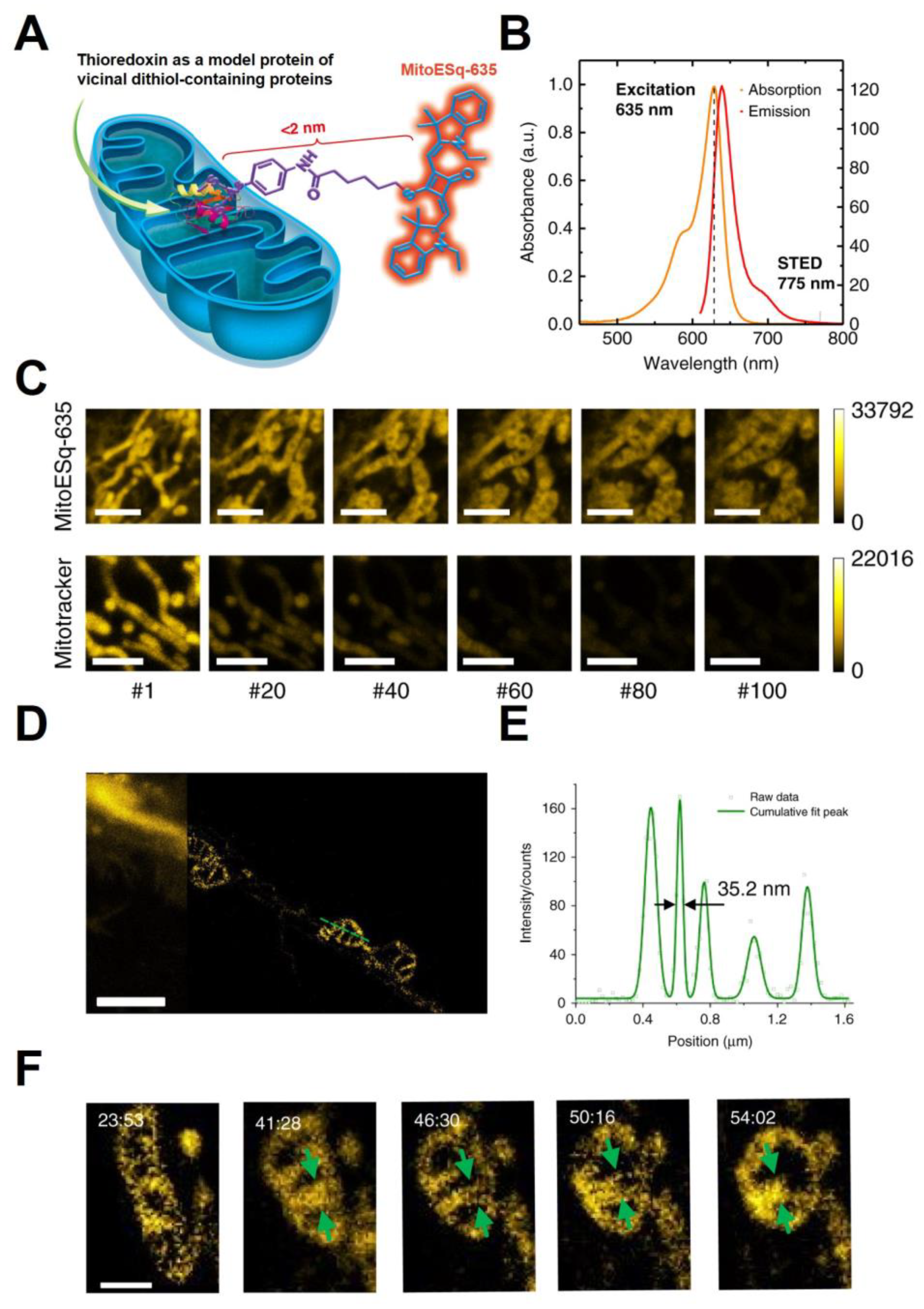 Cancers 15 02564 g002