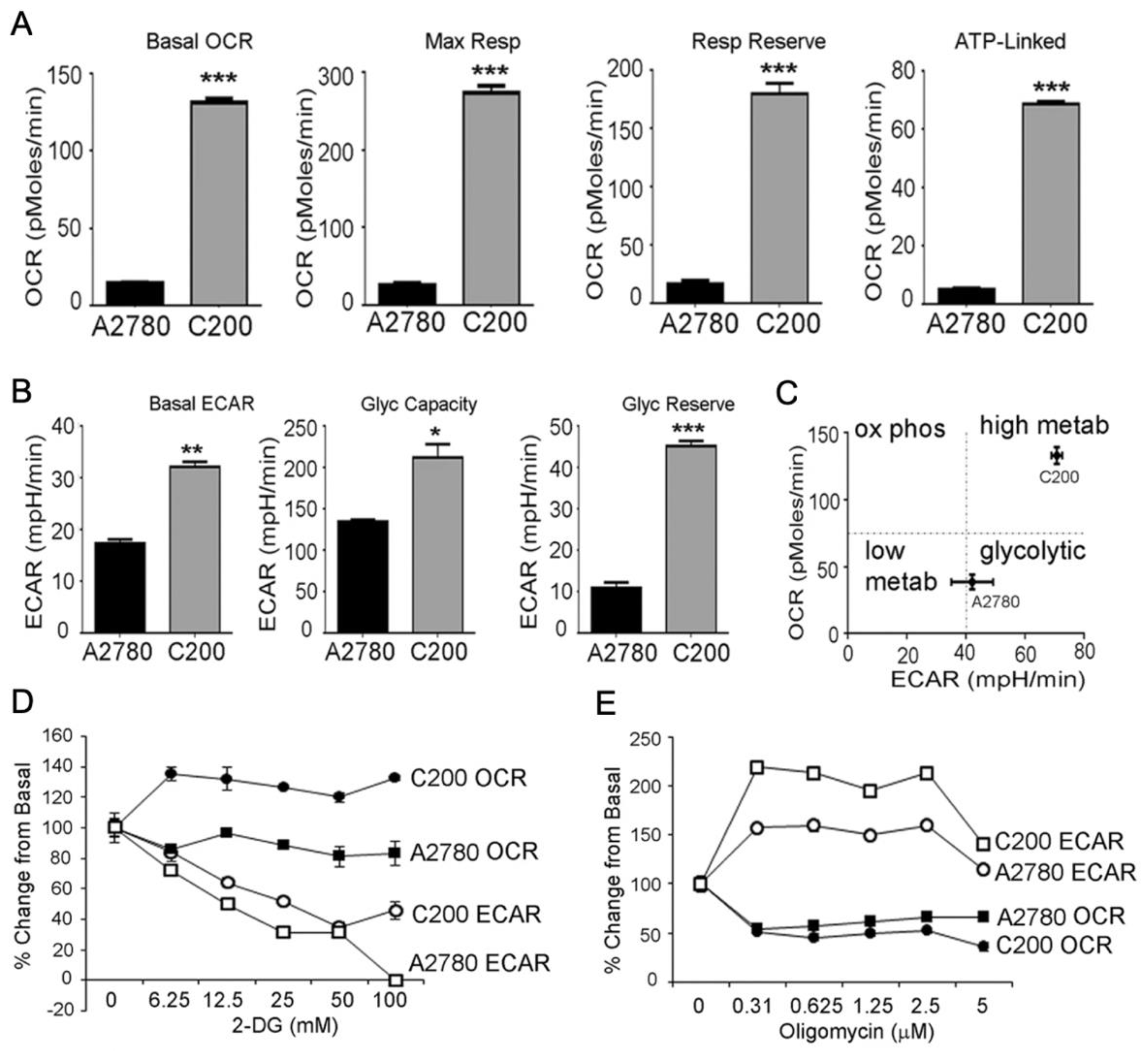 Cancers 15 02564 g004